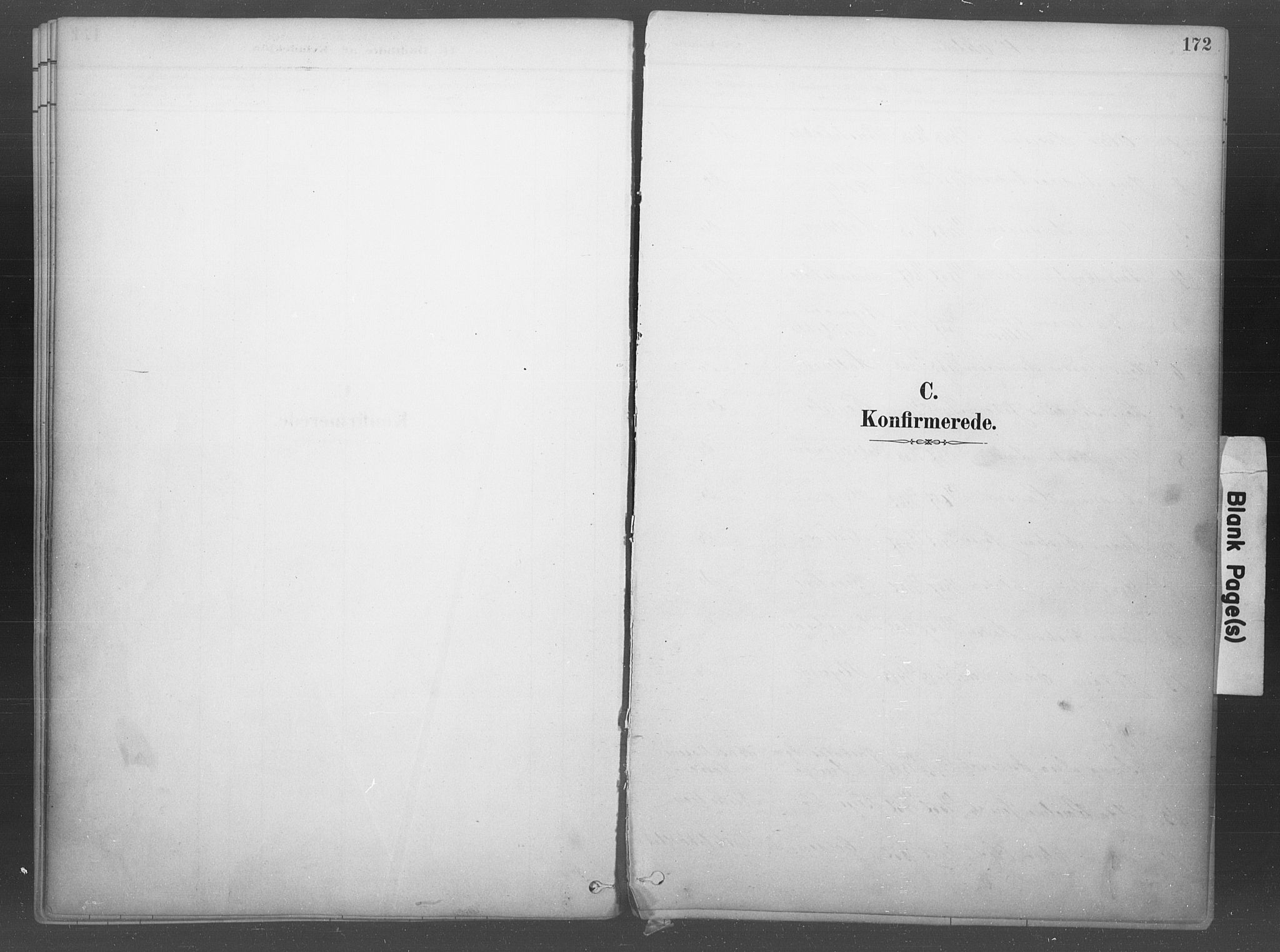 Idd prestekontor Kirkebøker, SAO/A-10911/F/Fb/L0002: Ministerialbok nr. II 2, 1882-1923, s. 172