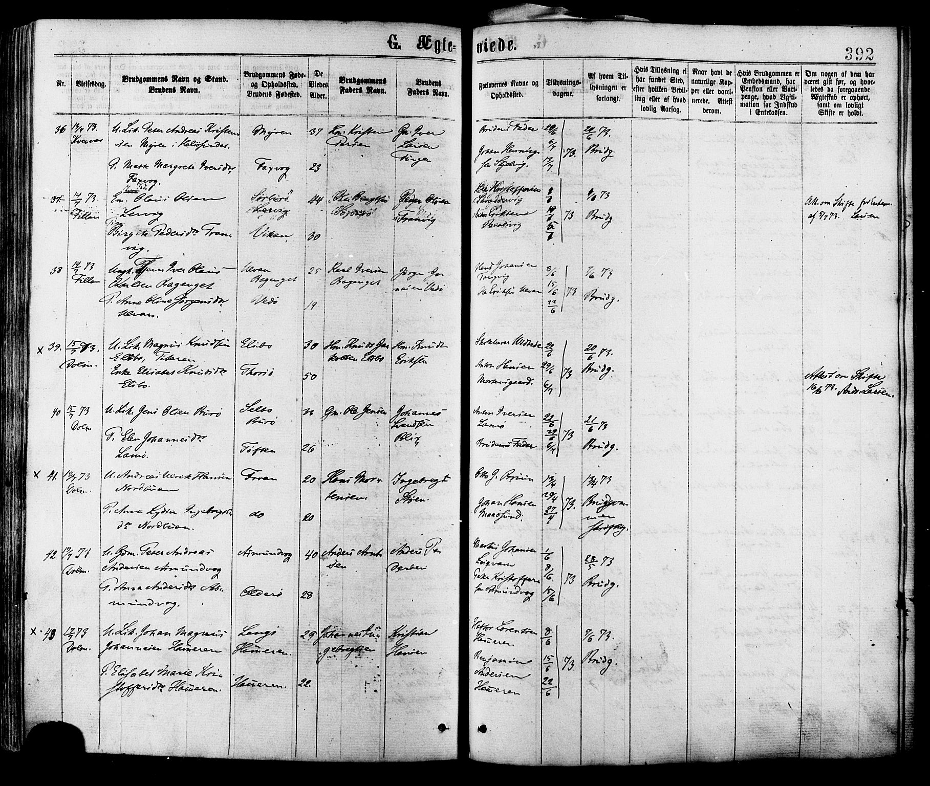 Ministerialprotokoller, klokkerbøker og fødselsregistre - Sør-Trøndelag, SAT/A-1456/634/L0532: Ministerialbok nr. 634A08, 1871-1881, s. 392