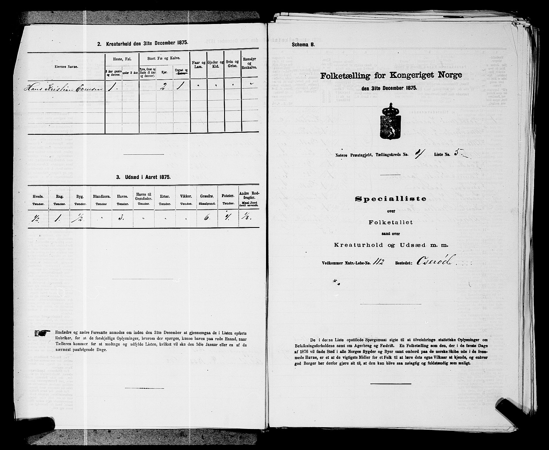 SAKO, Folketelling 1875 for 0722P Nøtterøy prestegjeld, 1875, s. 805