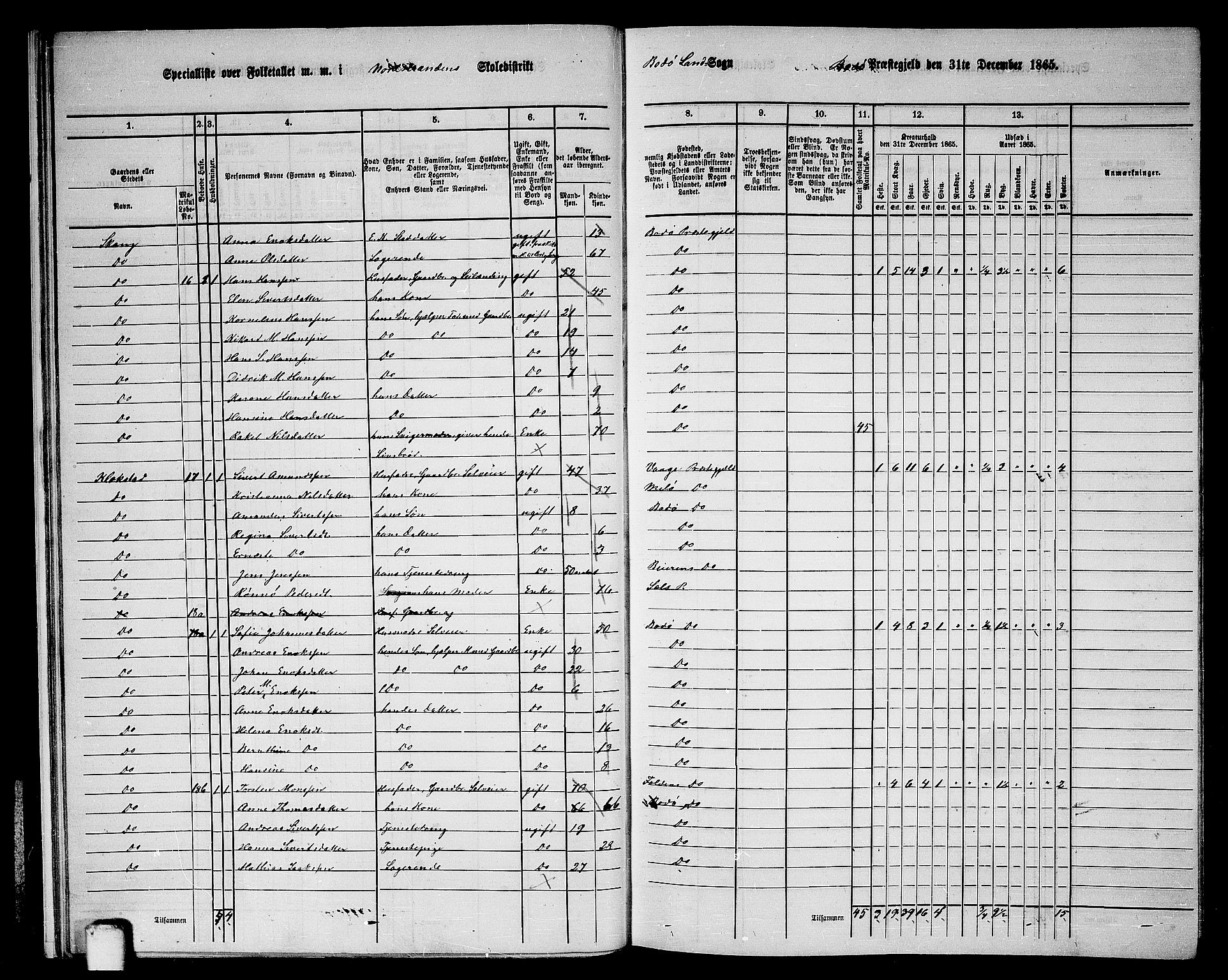 RA, Folketelling 1865 for 1843L Bodø prestegjeld, Bodø landsokn, 1865, s. 15