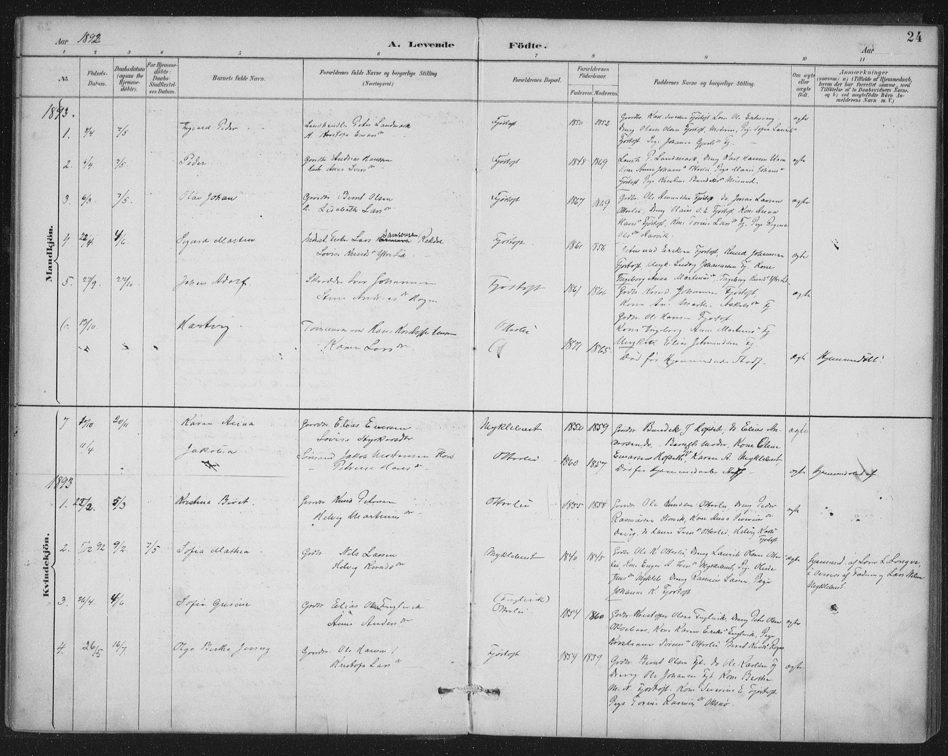 Ministerialprotokoller, klokkerbøker og fødselsregistre - Møre og Romsdal, AV/SAT-A-1454/538/L0522: Ministerialbok nr. 538A01, 1884-1913, s. 24