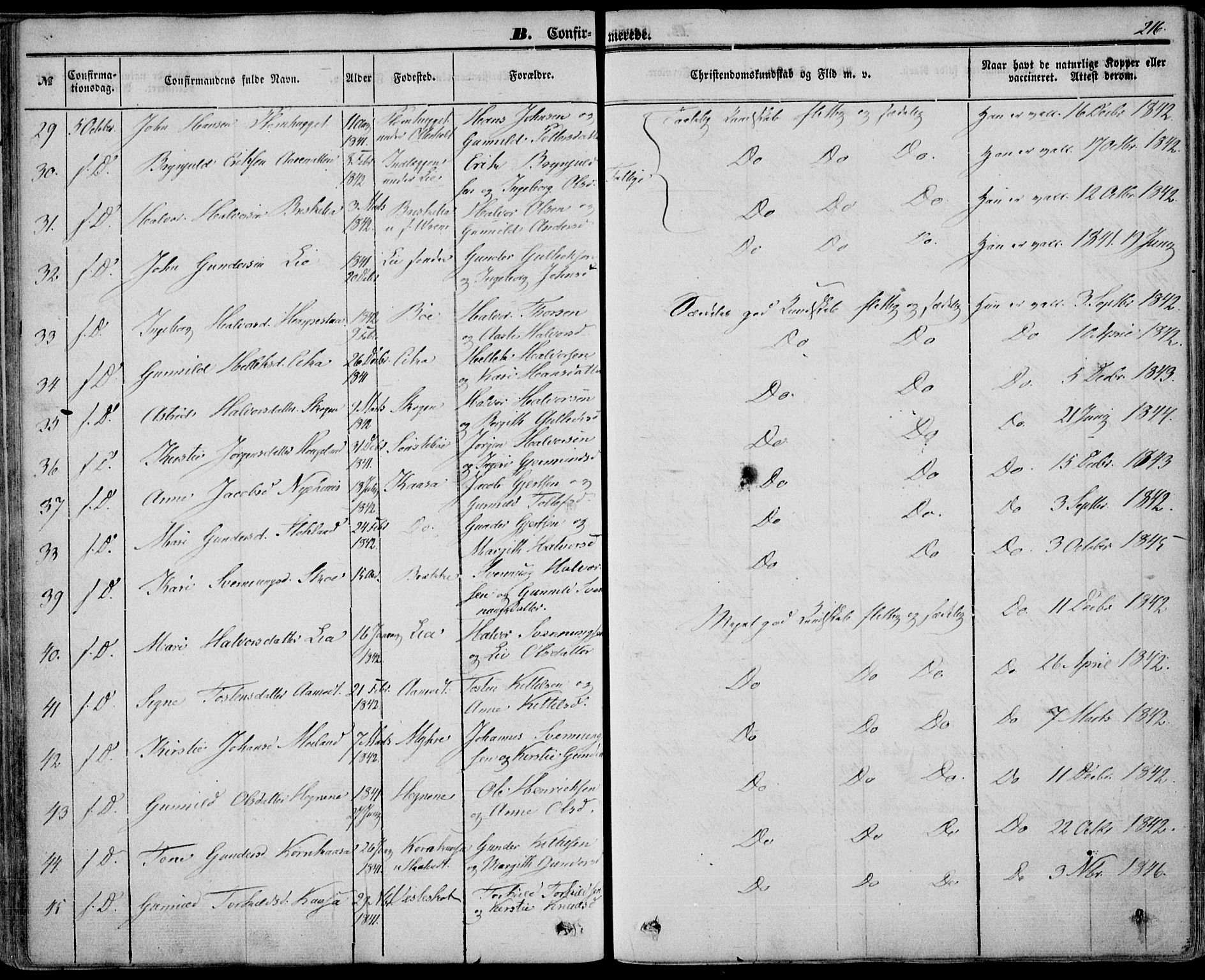 Bø kirkebøker, AV/SAKO-A-257/F/Fa/L0008: Ministerialbok nr. 8, 1849-1861, s. 216