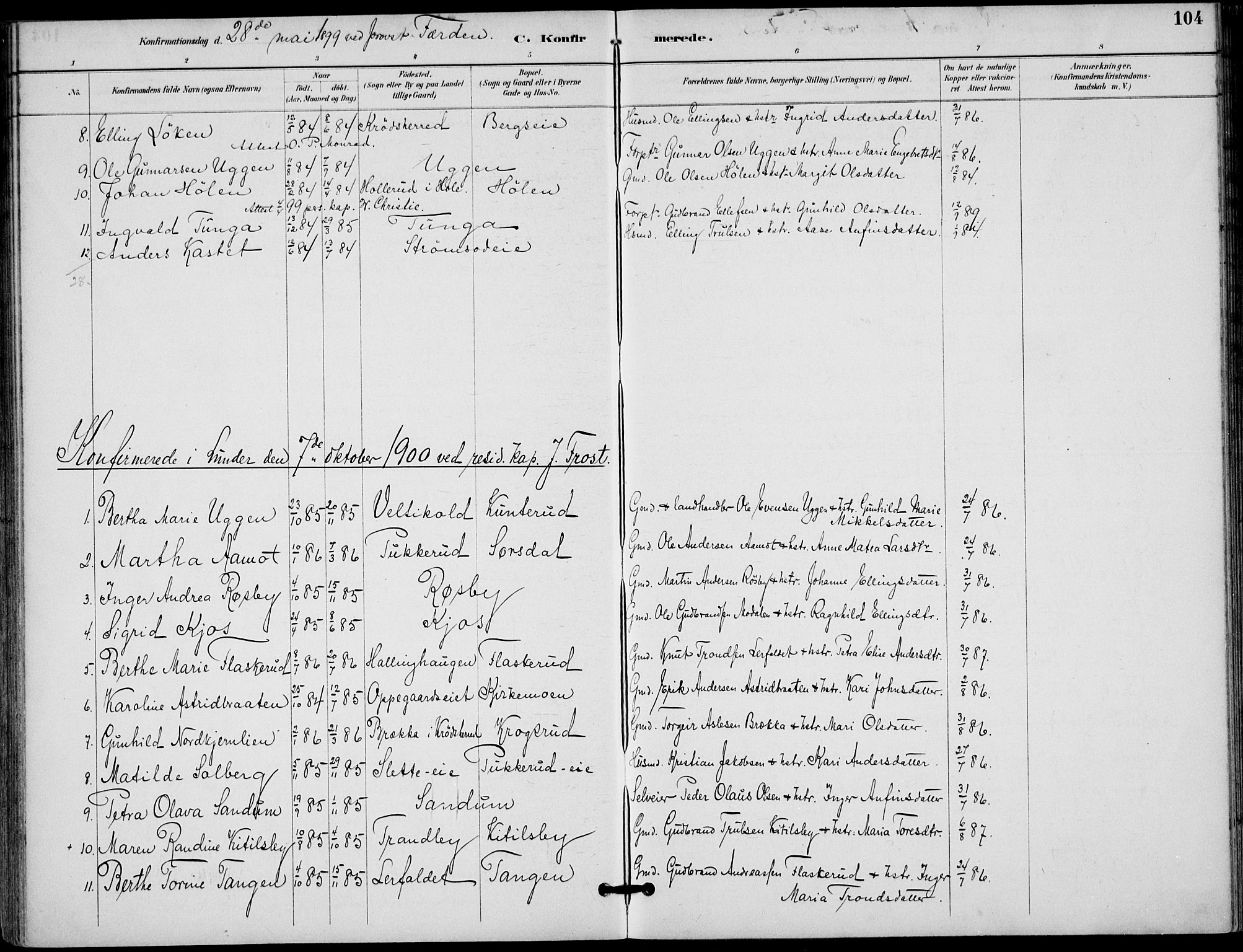 Lunder kirkebøker, AV/SAKO-A-629/F/Fa/L0001: Ministerialbok nr. I 1, 1885-1912, s. 104