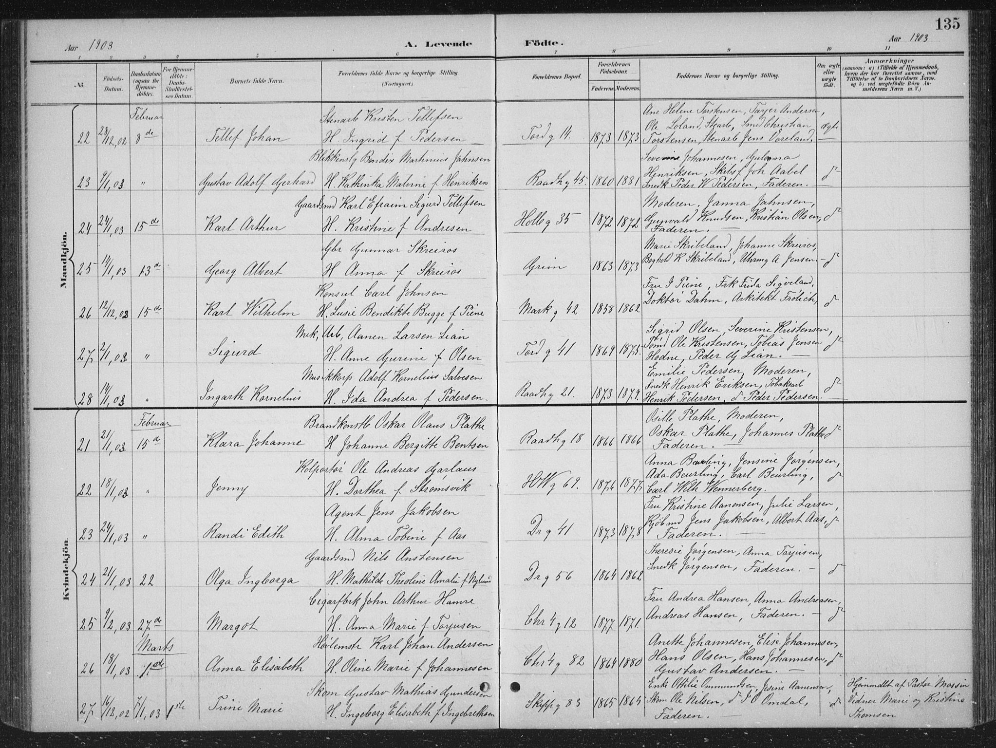 Kristiansand domprosti, AV/SAK-1112-0006/F/Fb/L0018: Klokkerbok nr. B 18, 1896-1905, s. 135