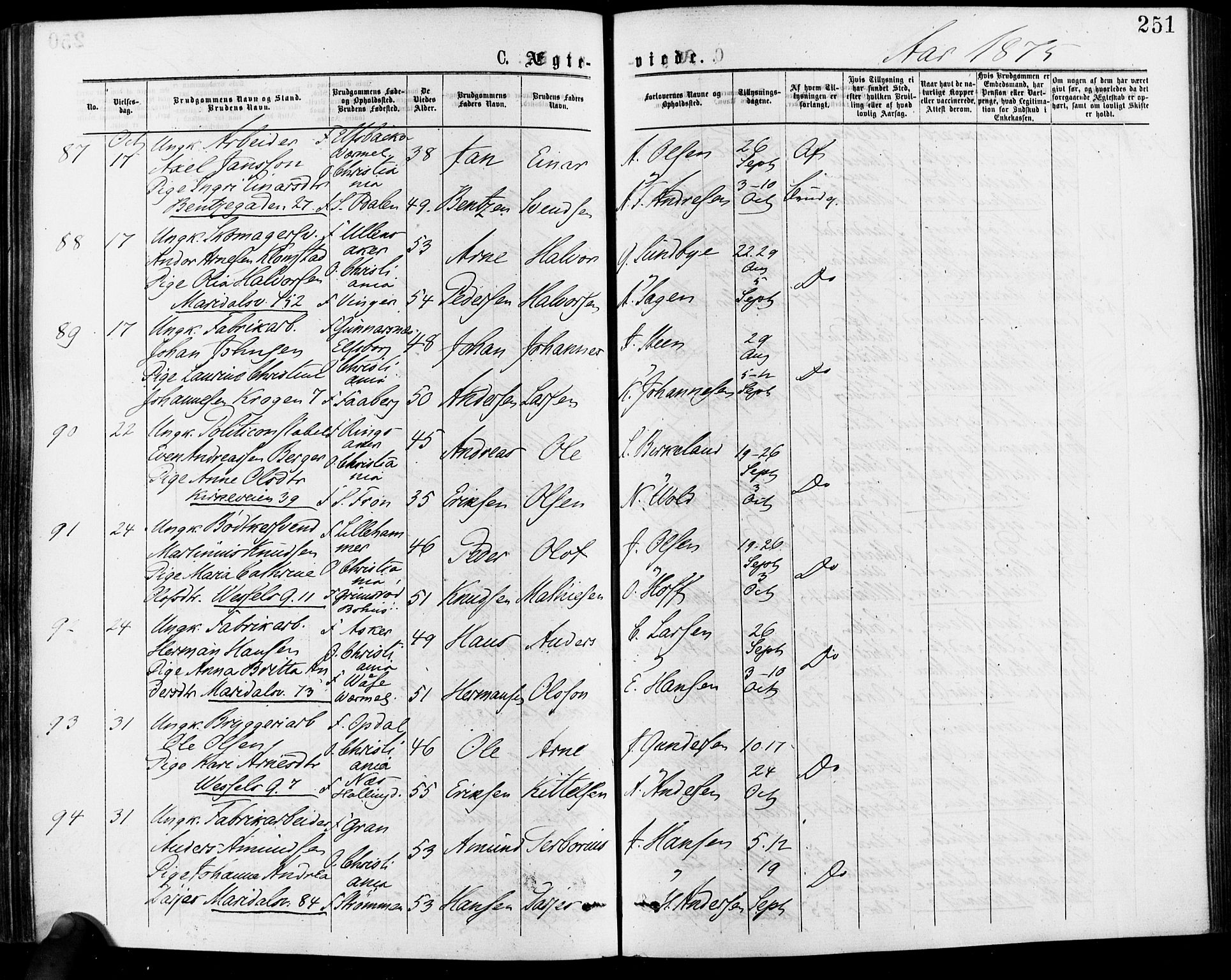 Gamle Aker prestekontor Kirkebøker, AV/SAO-A-10617a/F/L0005: Ministerialbok nr. 5, 1873-1881, s. 251