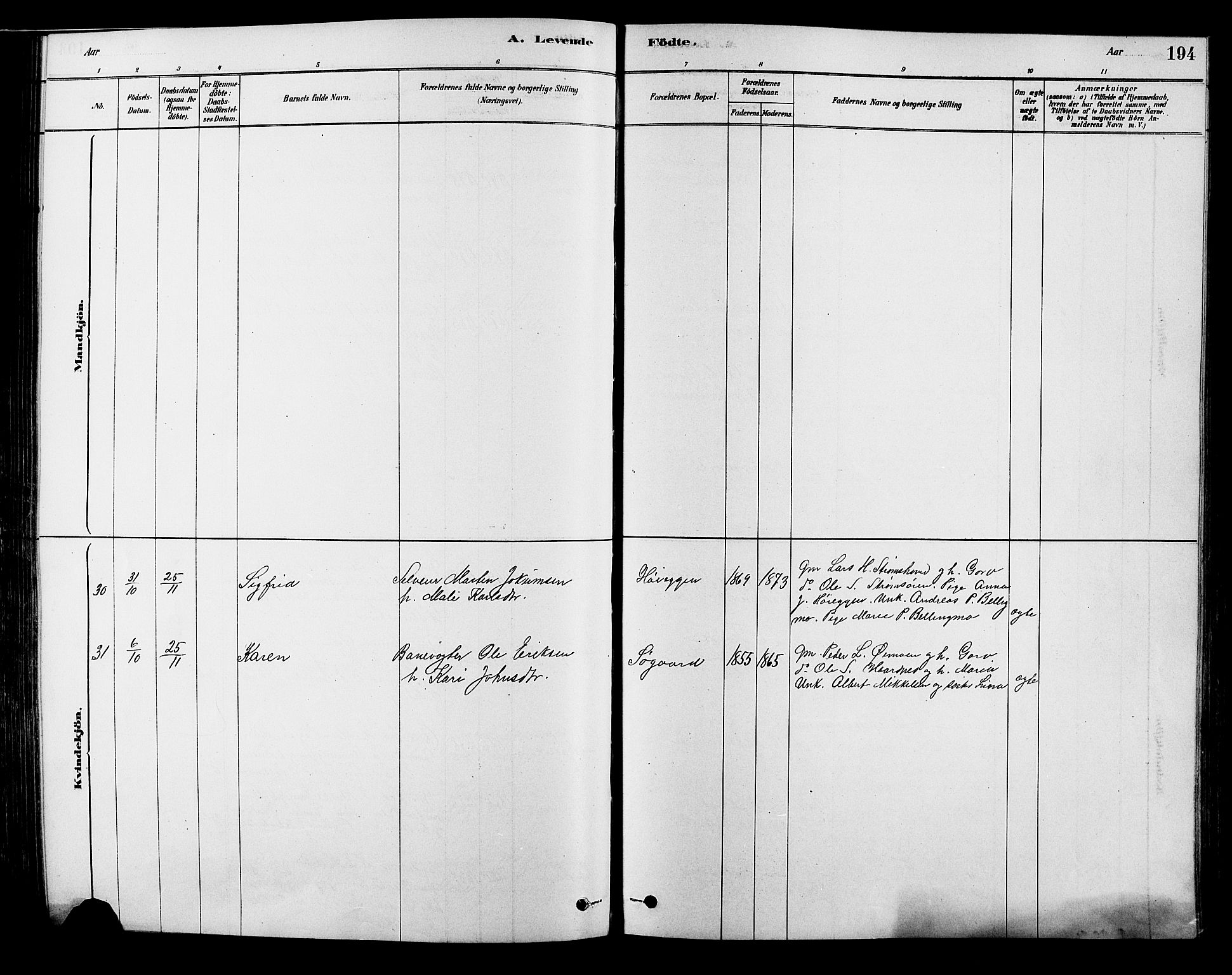 Alvdal prestekontor, SAH/PREST-060/H/Ha/Hab/L0003: Klokkerbok nr. 3, 1878-1907, s. 194