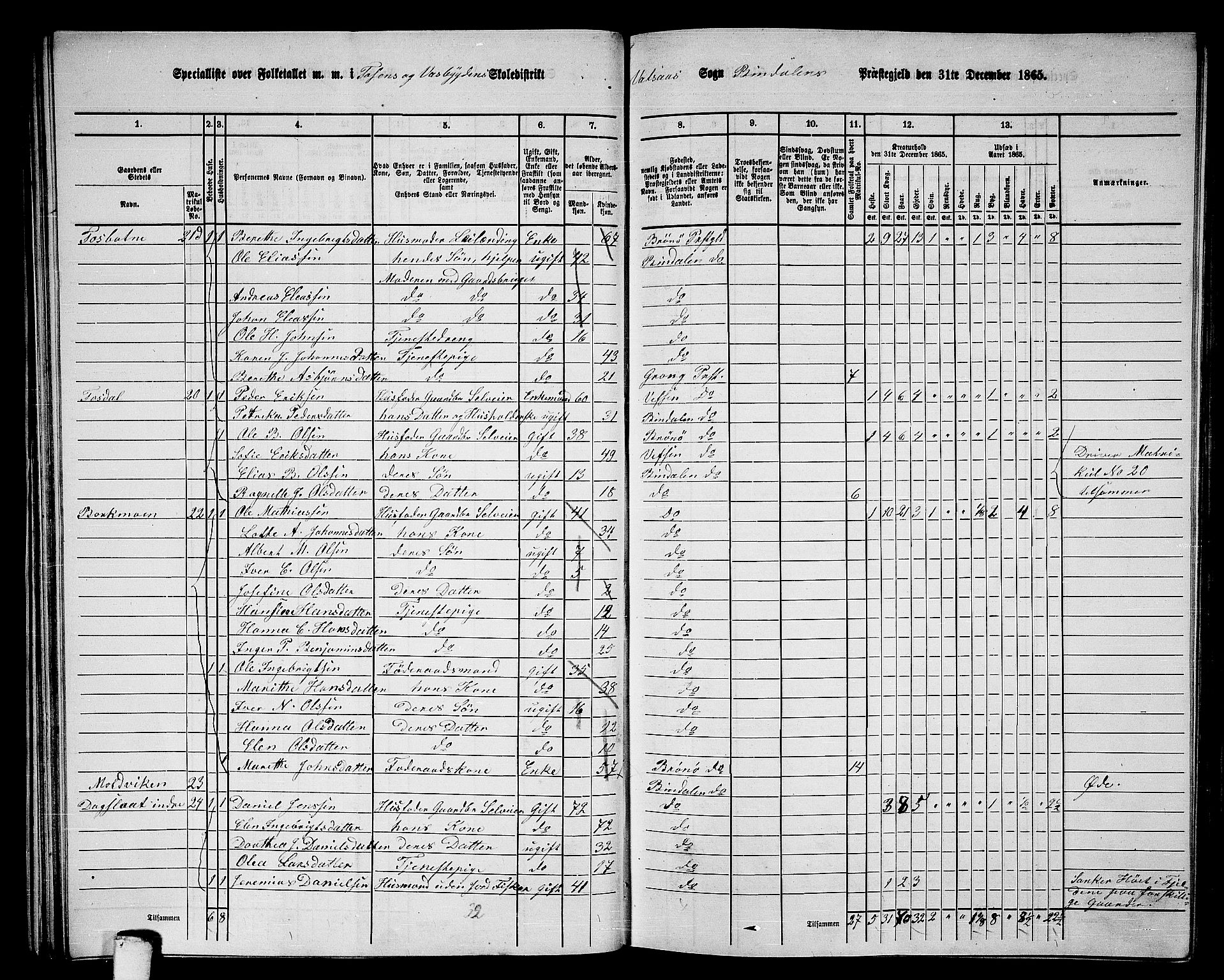 RA, Folketelling 1865 for 1811P Bindal prestegjeld, 1865, s. 34