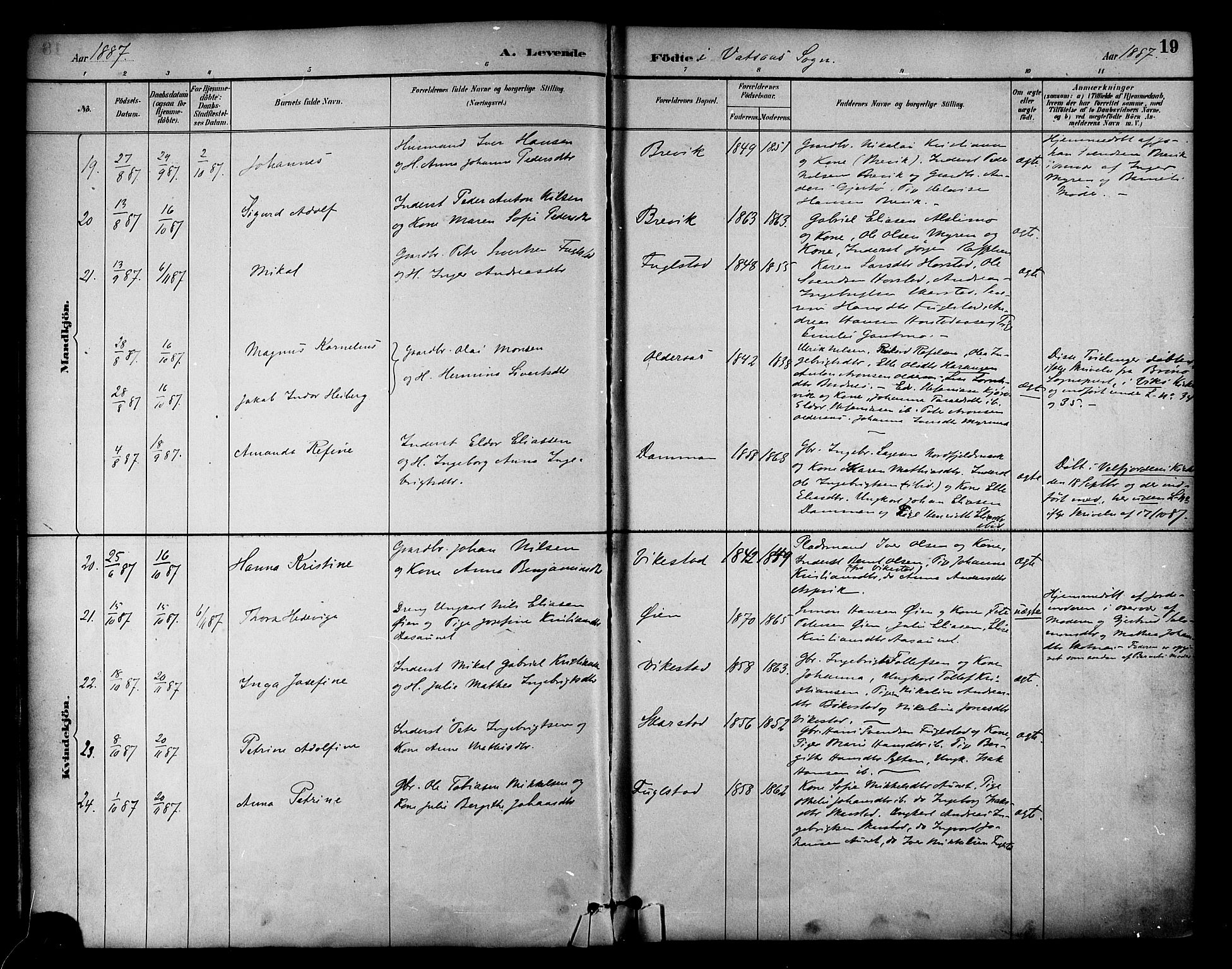 Ministerialprotokoller, klokkerbøker og fødselsregistre - Nordland, AV/SAT-A-1459/810/L0150: Ministerialbok nr. 810A10 /1, 1884-1895, s. 19