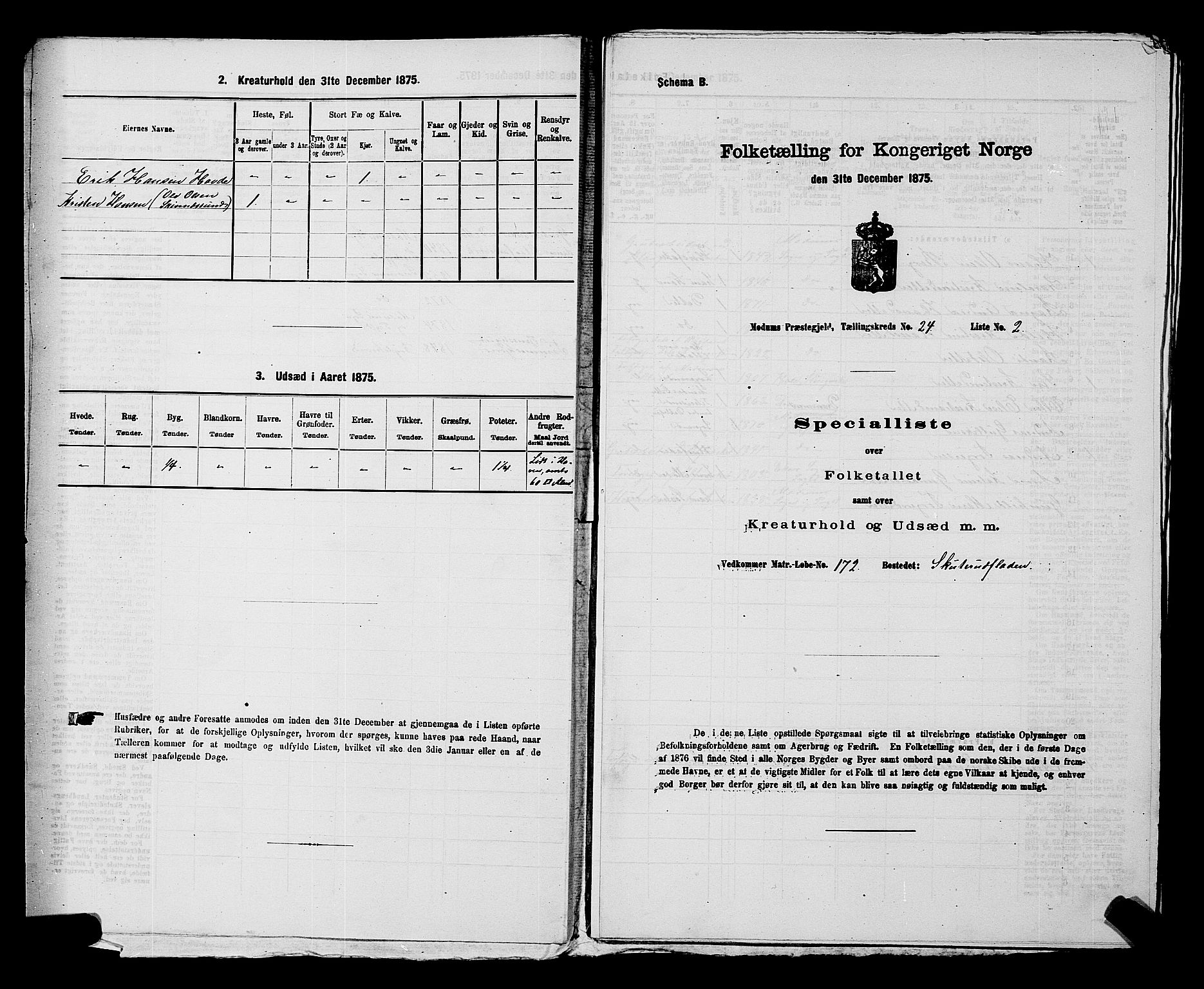 SAKO, Folketelling 1875 for 0623P Modum prestegjeld, 1875, s. 2884