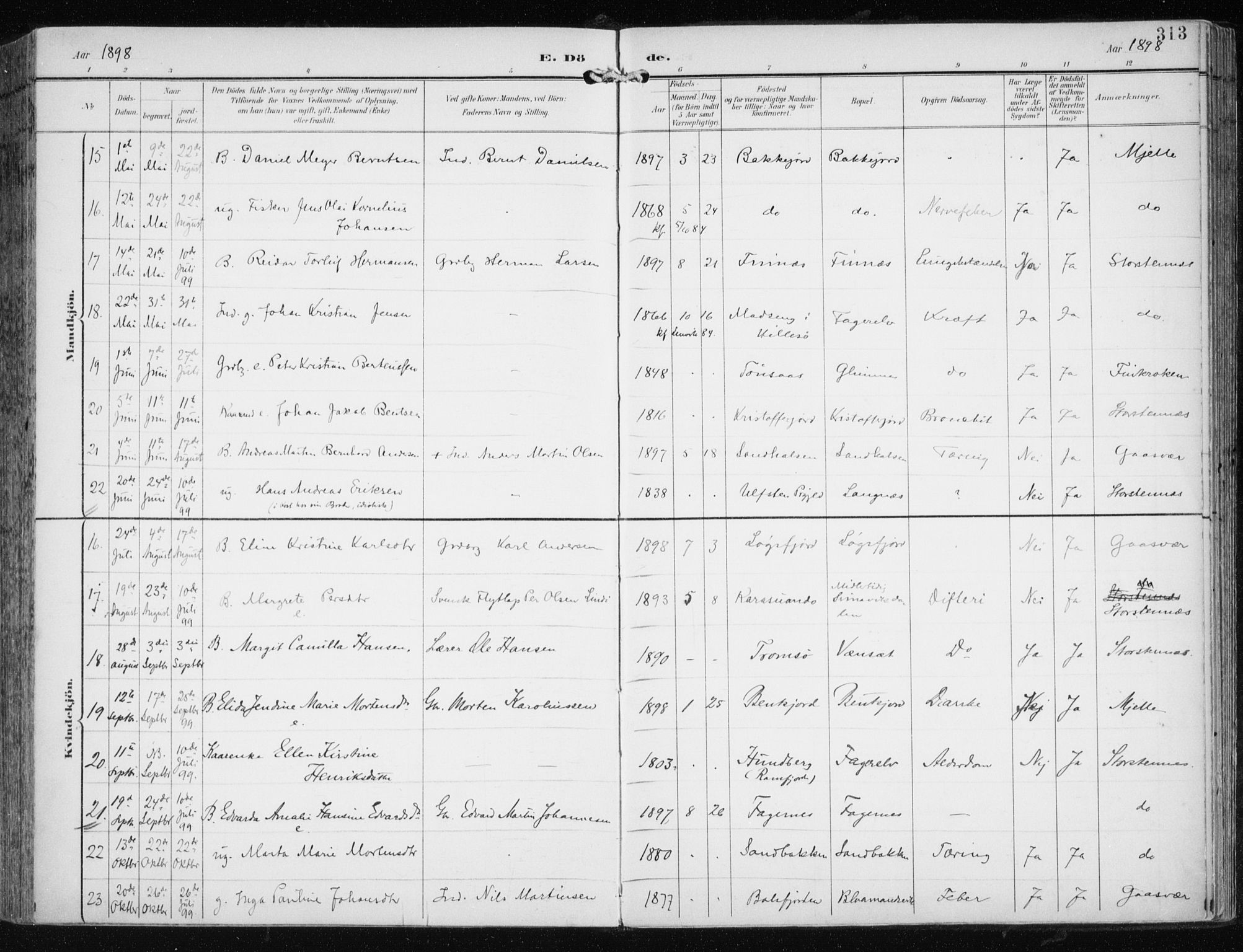 Tromsøysund sokneprestkontor, AV/SATØ-S-1304/G/Ga/L0006kirke: Ministerialbok nr. 6, 1897-1906, s. 313