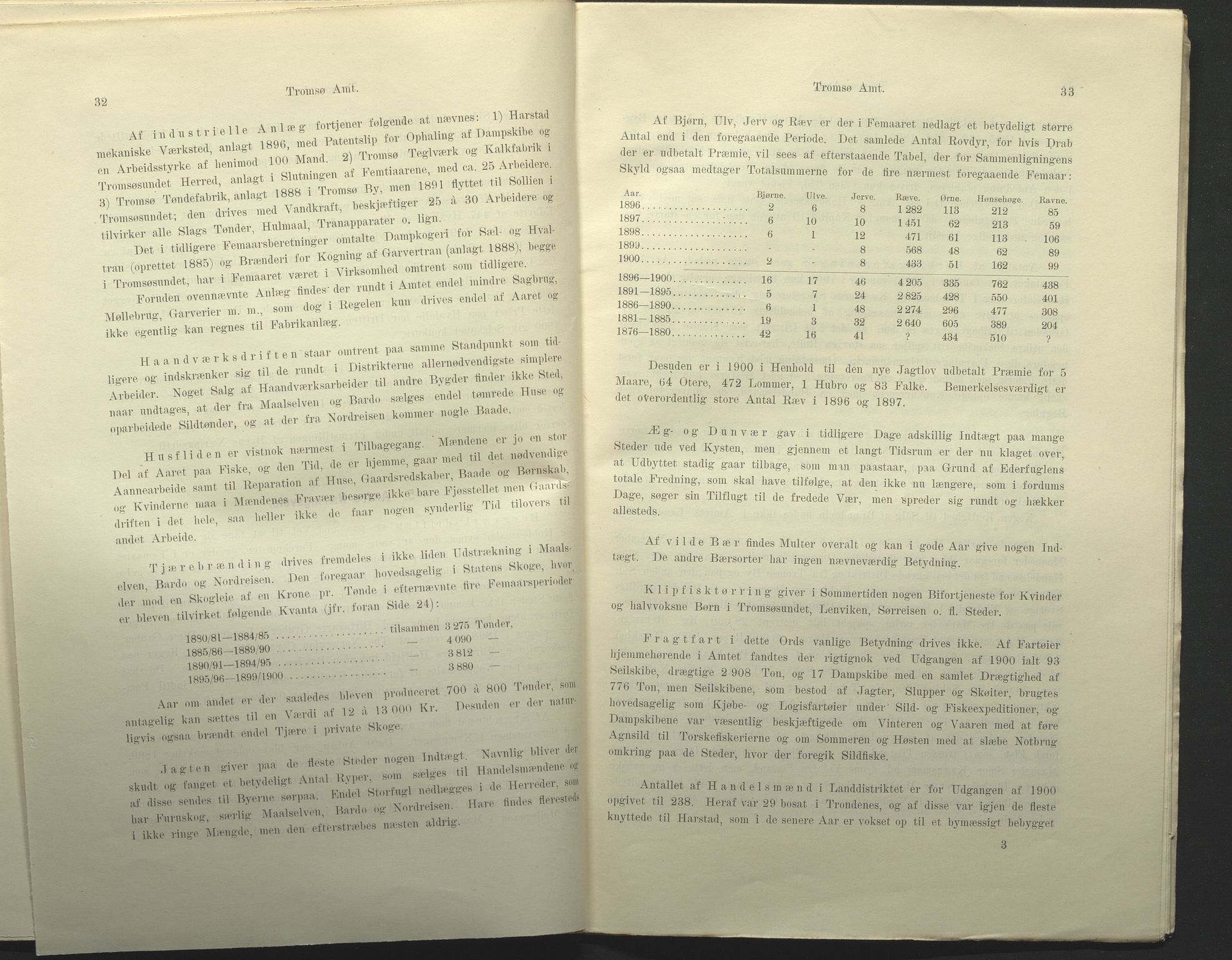 Fylkesmannen i Troms, AV/SATØ-S-0001/A7.25.1/L2072: Femårsberetninger, 1891-1900, s. 321
