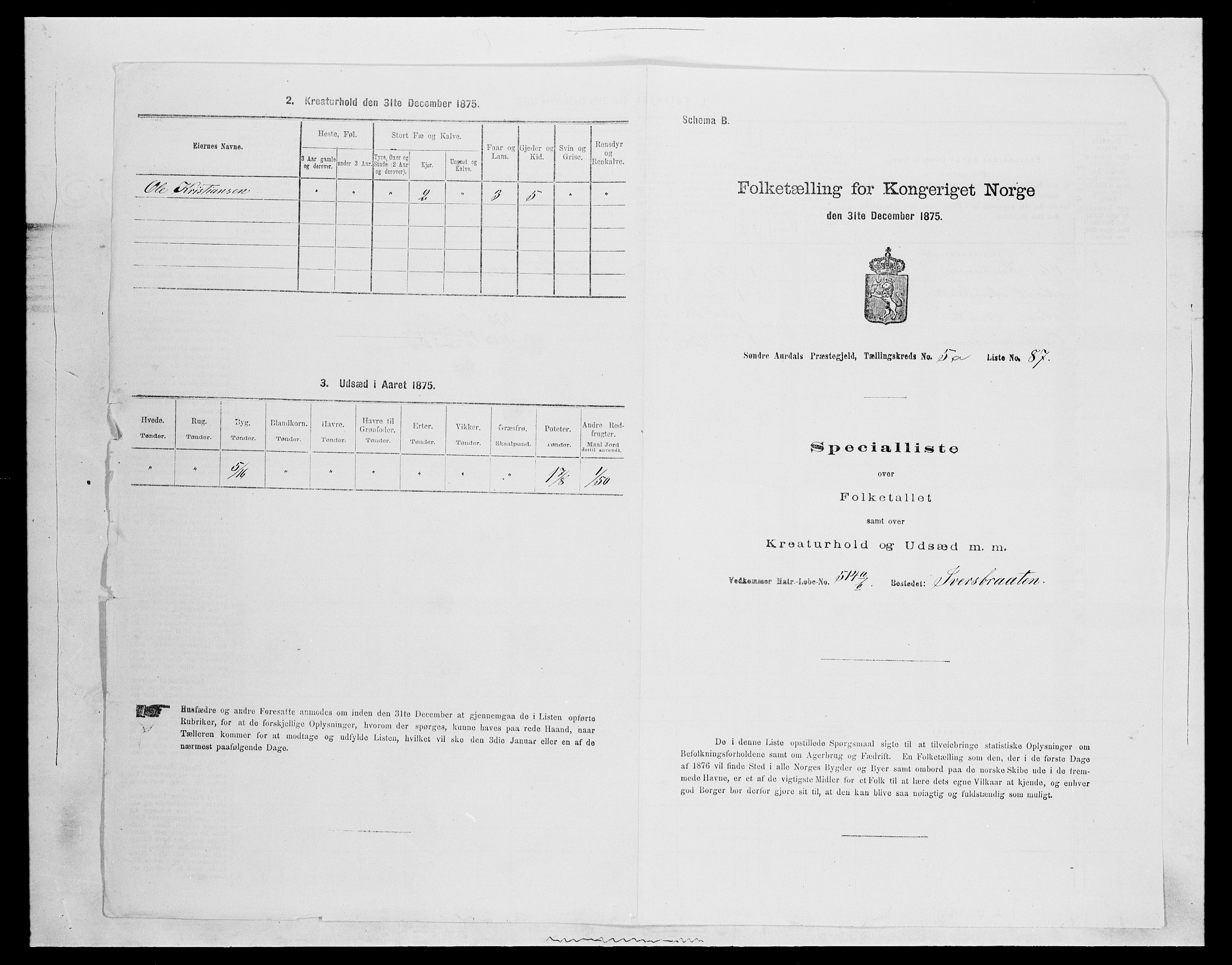 SAH, Folketelling 1875 for 0540P Sør-Aurdal prestegjeld, 1875, s. 916