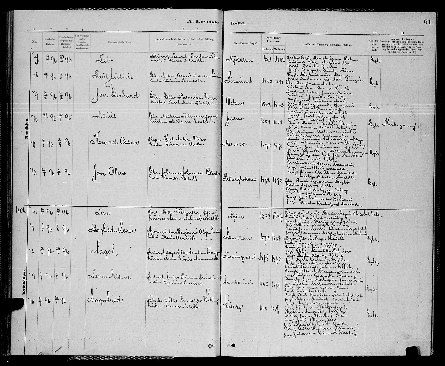 Ministerialprotokoller, klokkerbøker og fødselsregistre - Nord-Trøndelag, SAT/A-1458/714/L0134: Klokkerbok nr. 714C03, 1878-1898, s. 61