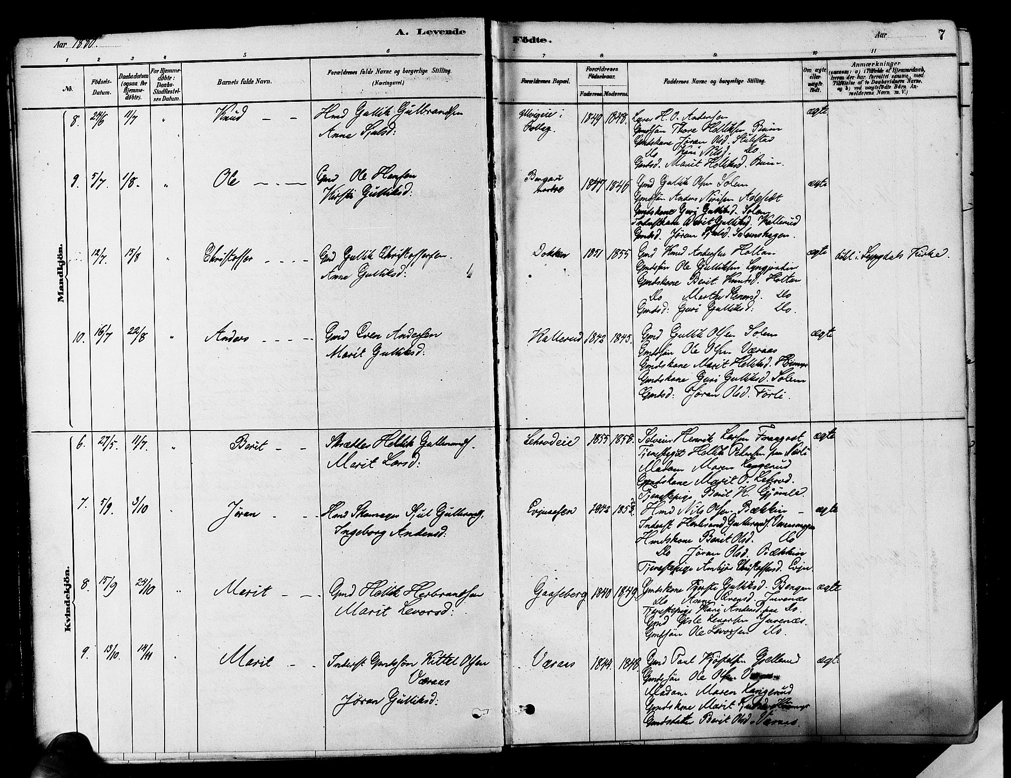 Flesberg kirkebøker, AV/SAKO-A-18/F/Fa/L0008: Ministerialbok nr. I 8, 1879-1899, s. 7