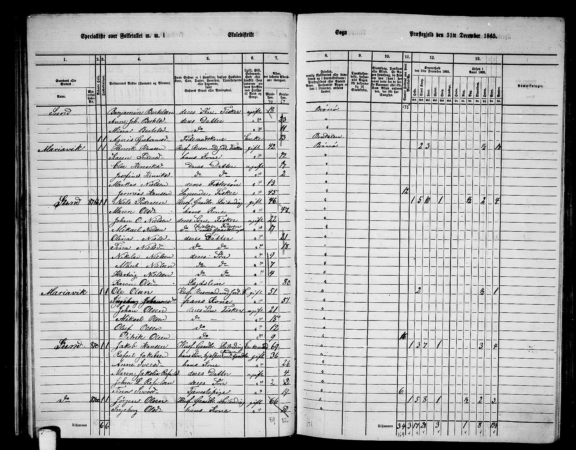 RA, Folketelling 1865 for 1814P Brønnøy prestegjeld, 1865, s. 38