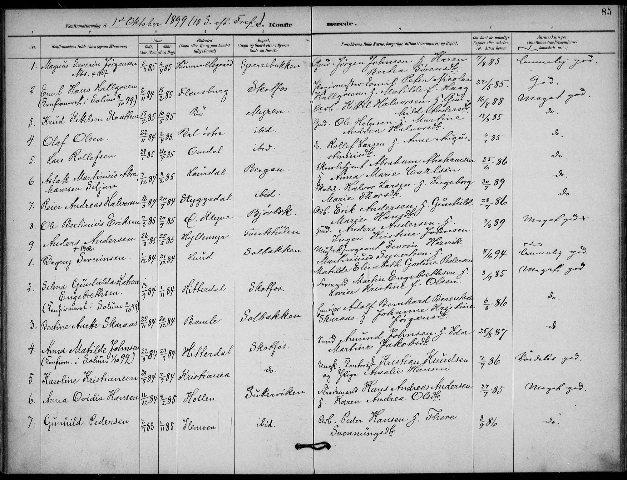 Solum kirkebøker, AV/SAKO-A-306/F/Fb/L0002: Ministerialbok nr. II 2, 1893-1901, s. 85