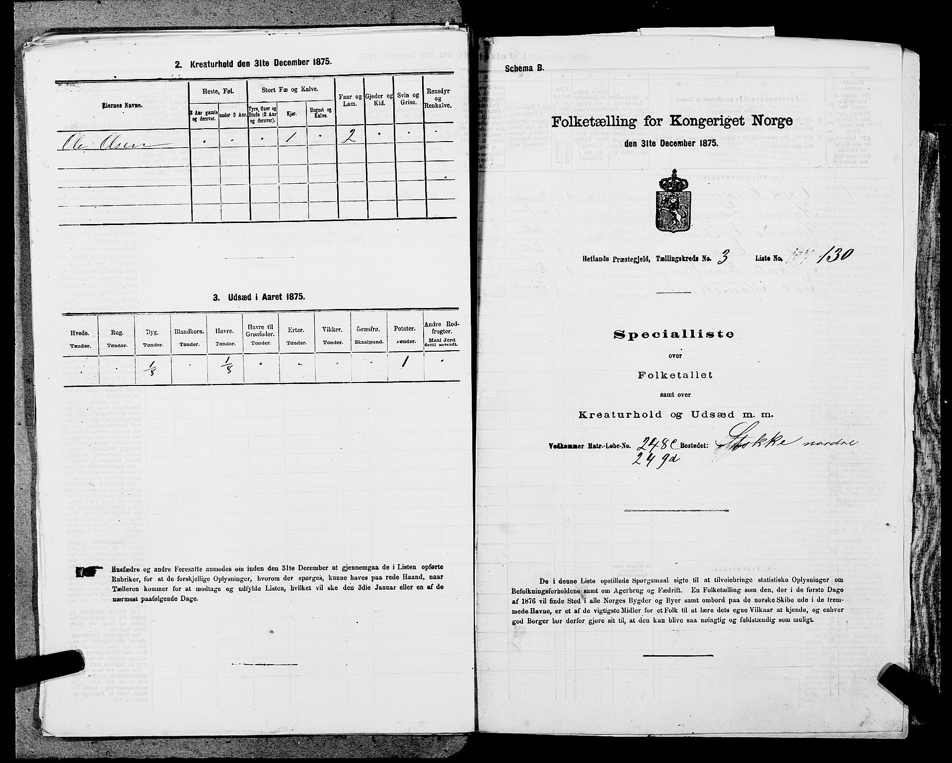 SAST, Folketelling 1875 for 1126P Hetland prestegjeld, 1875, s. 747