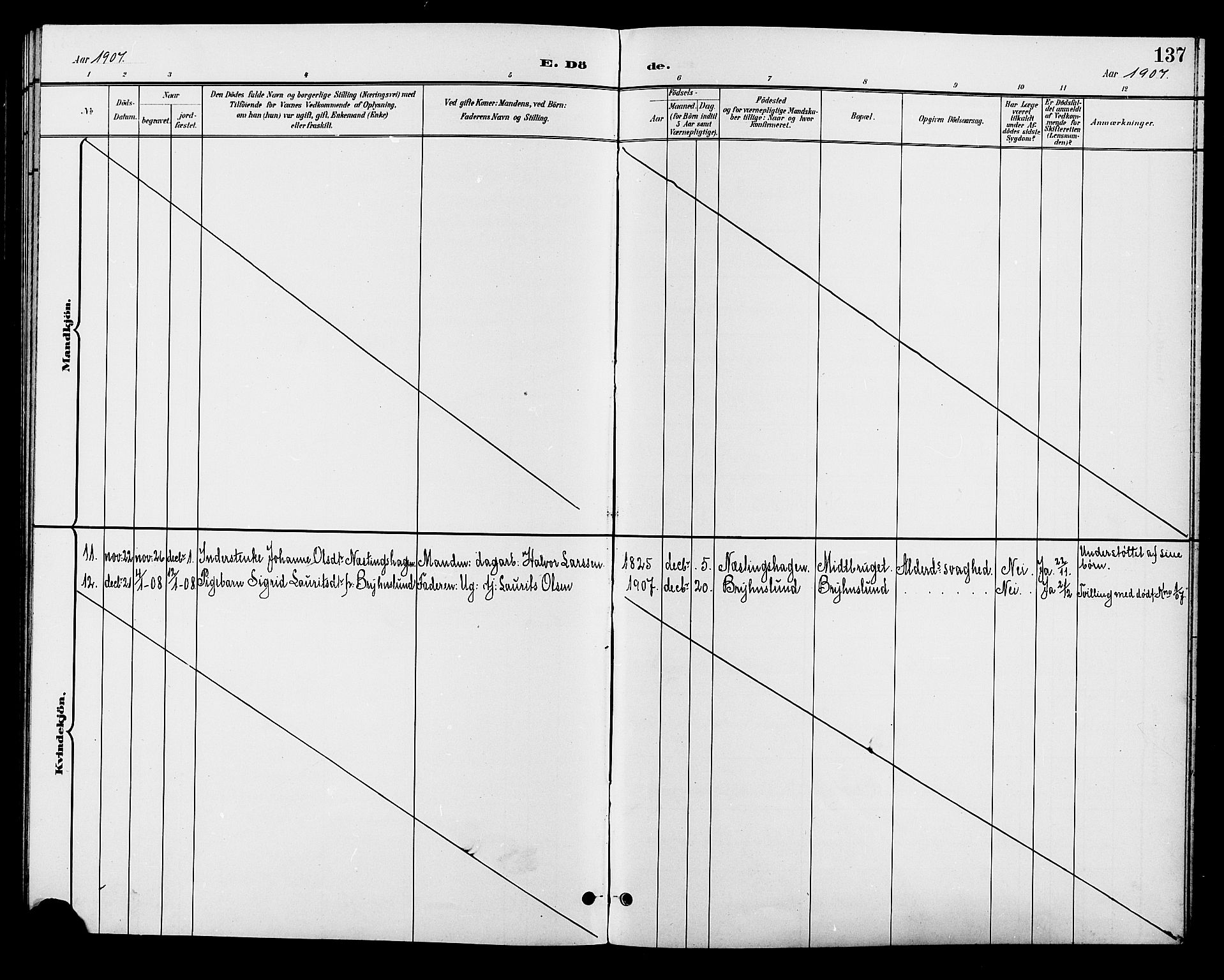 Øyer prestekontor, AV/SAH-PREST-084/H/Ha/Hab/L0005: Klokkerbok nr. 5, 1897-1913, s. 137