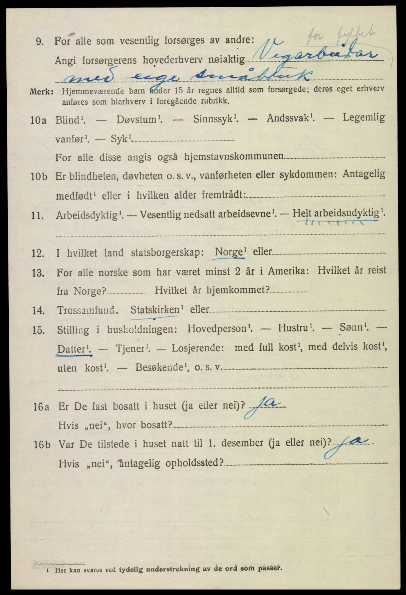 SAK, Folketelling 1920 for 0936 Hornnes herred, 1920, s. 1162
