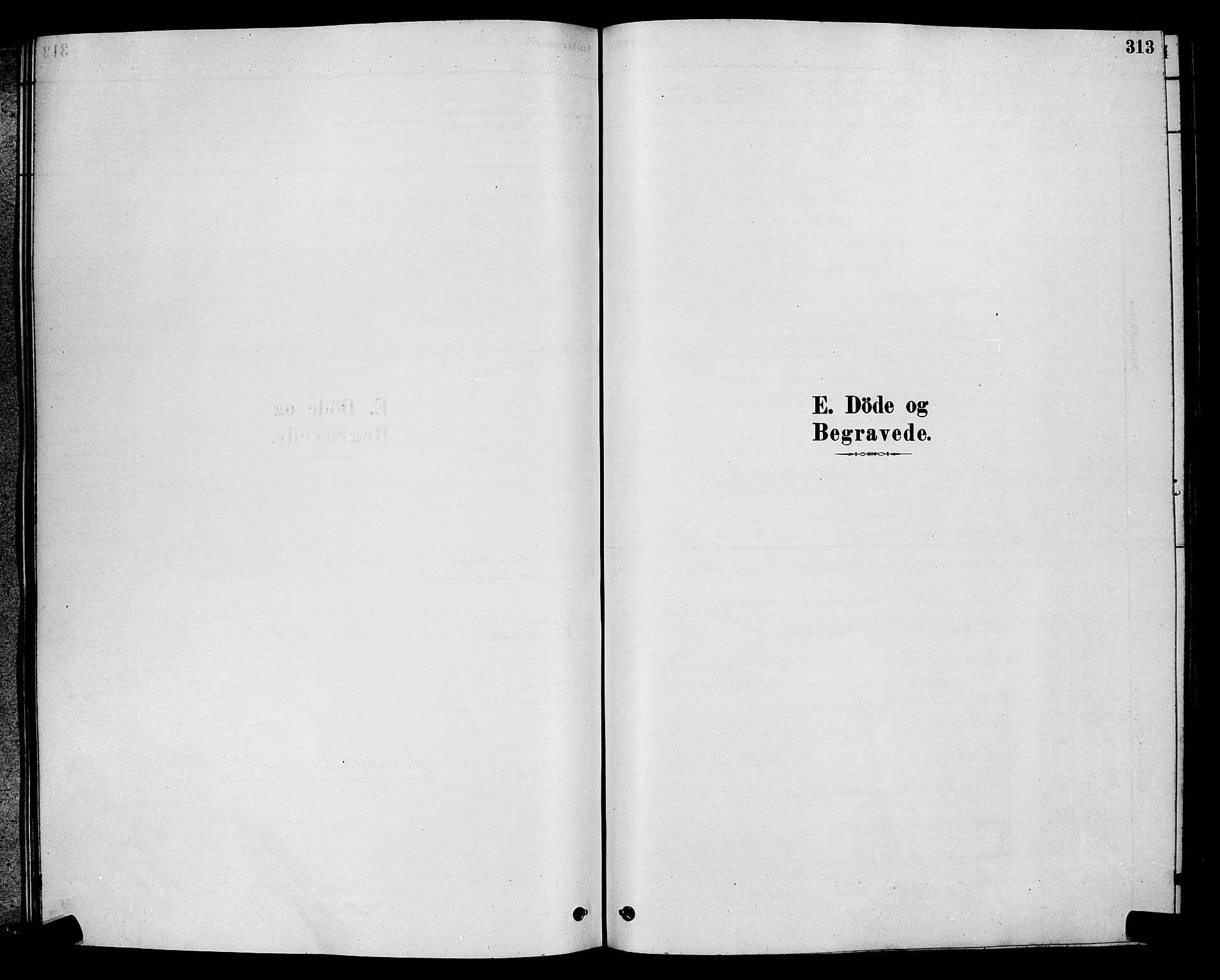 Moss prestekontor Kirkebøker, SAO/A-2003/G/Ga/L0005: Klokkerbok nr. I 5, 1878-1888, s. 313