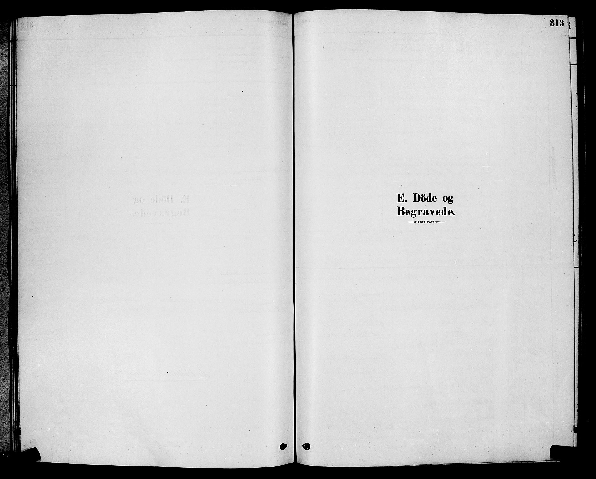 Moss prestekontor Kirkebøker, AV/SAO-A-2003/G/Ga/L0005: Klokkerbok nr. I 5, 1878-1888, s. 313