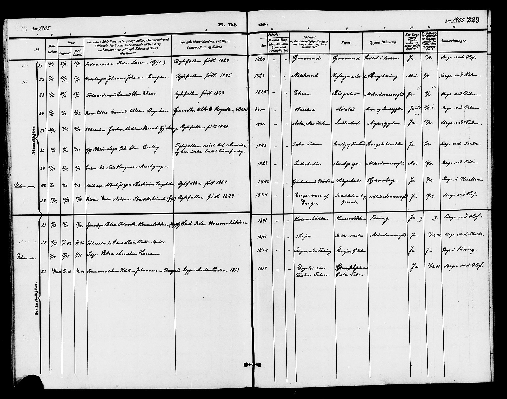 Østre Toten prestekontor, SAH/PREST-104/H/Ha/Hab/L0007: Klokkerbok nr. 7, 1901-1912, s. 229