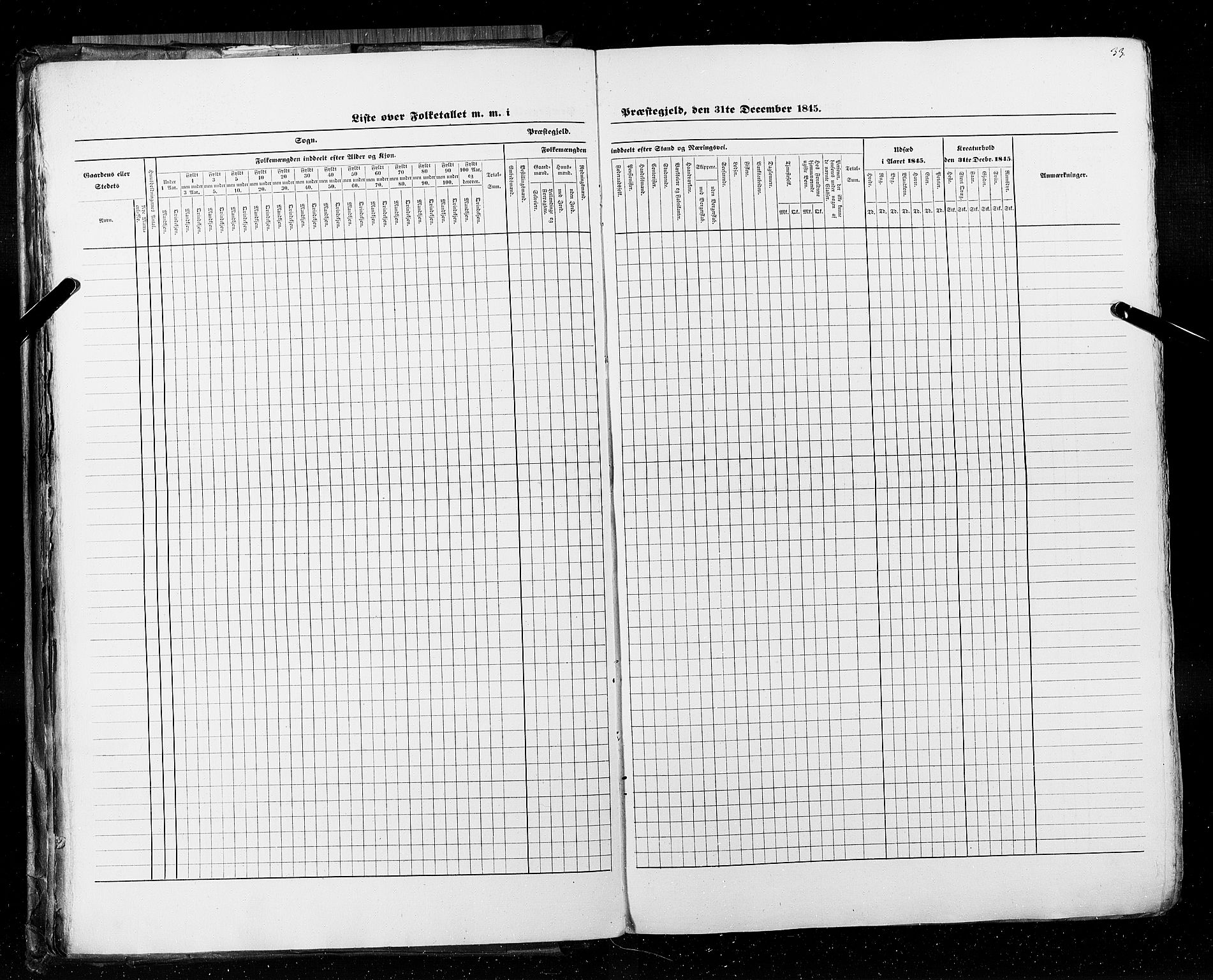 RA, Folketellingen 1845, bind 5: Bratsberg amt og Nedenes og Råbyggelaget amt, 1845, s. 33