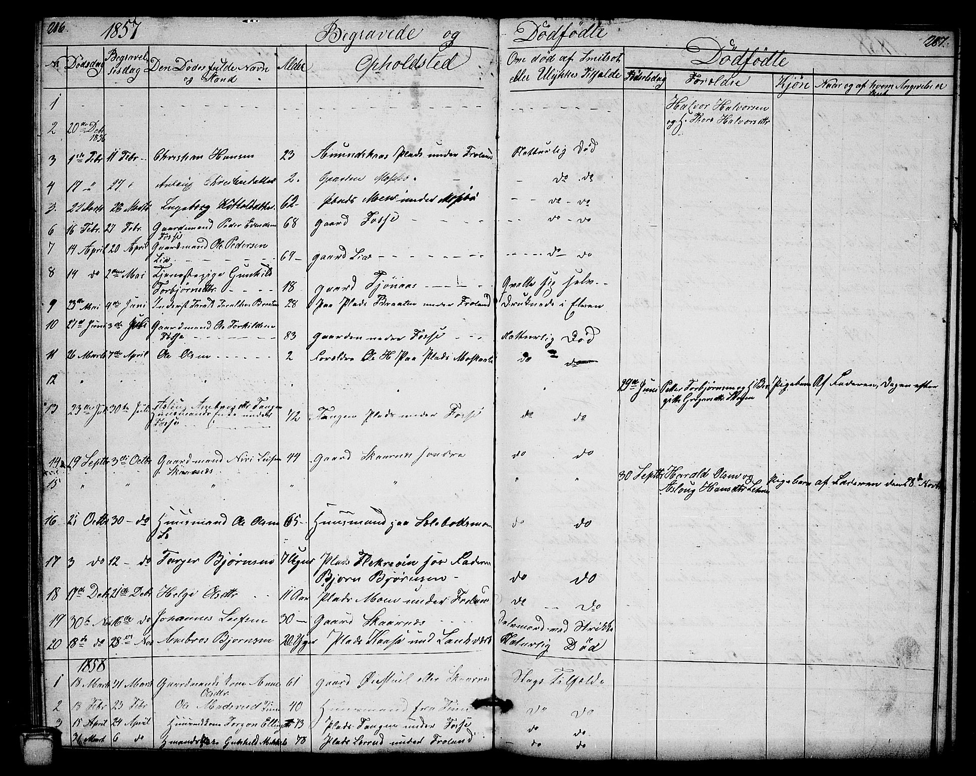 Hjartdal kirkebøker, AV/SAKO-A-270/G/Gb/L0002: Klokkerbok nr. II 2, 1854-1884, s. 286-287