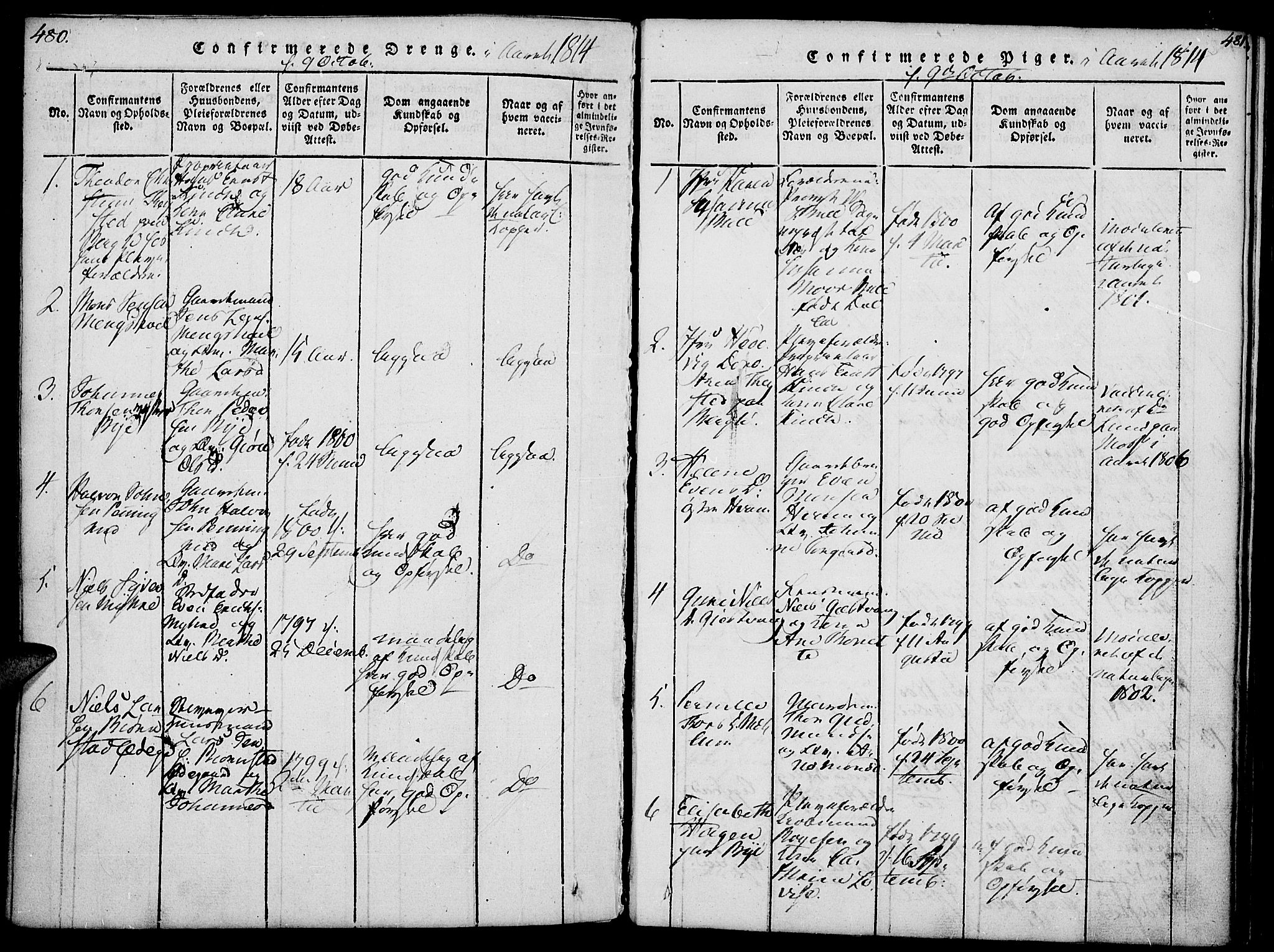 Nes prestekontor, Hedmark, AV/SAH-PREST-020/K/Ka/L0002: Ministerialbok nr. 2, 1813-1827, s. 480-481