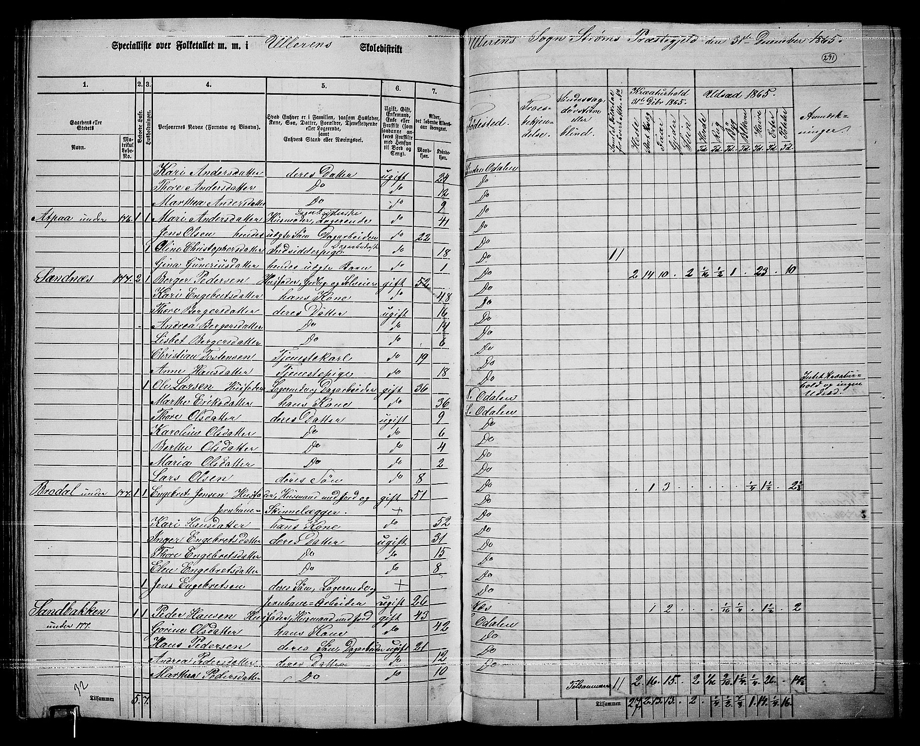 RA, Folketelling 1865 for 0419P Sør-Odal prestegjeld, 1865, s. 255