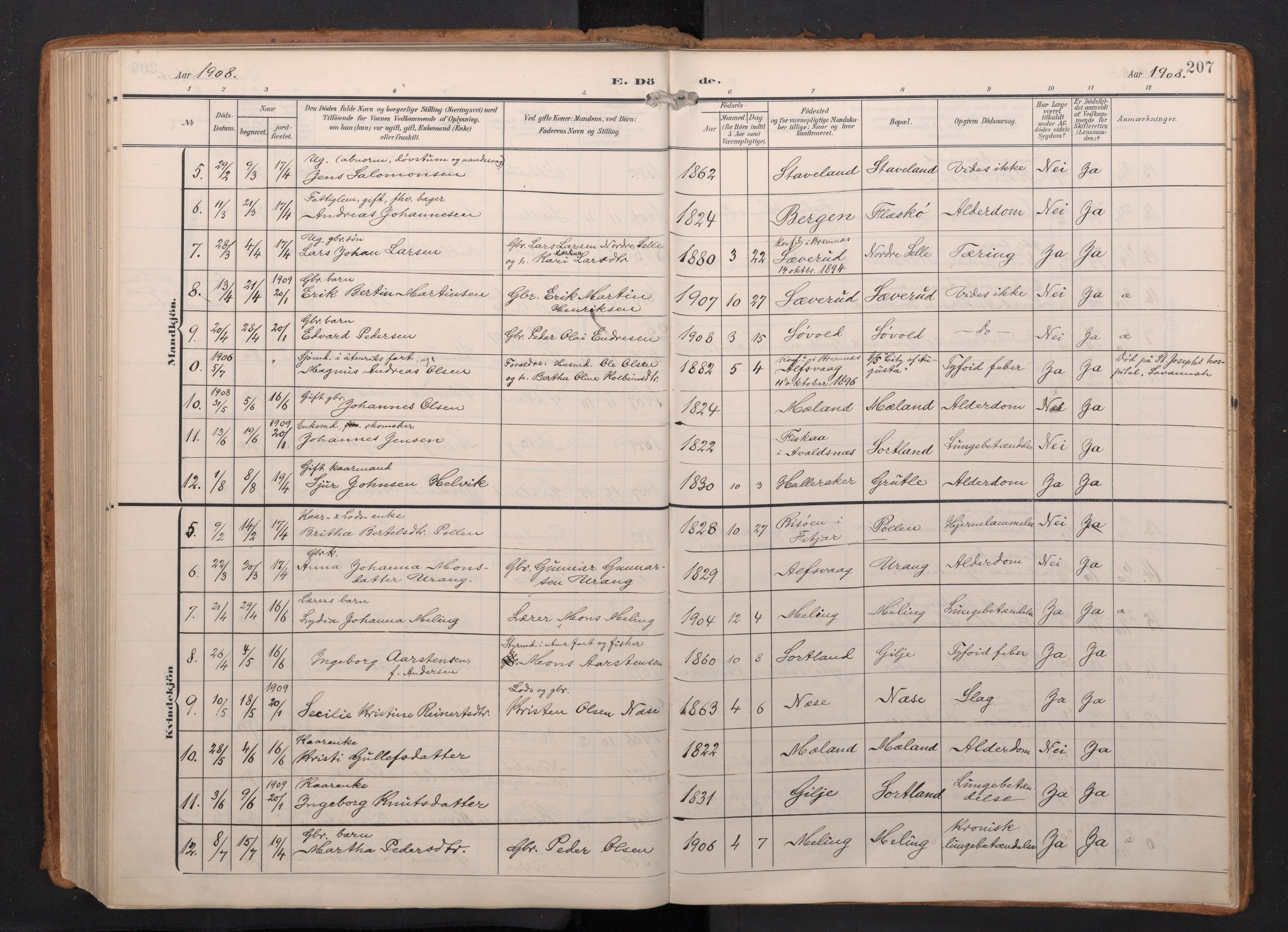 Finnås sokneprestembete, AV/SAB-A-99925/H/Ha/Haa/Haac/L0003: Ministerialbok nr. C 3, 1905-1917, s. 207