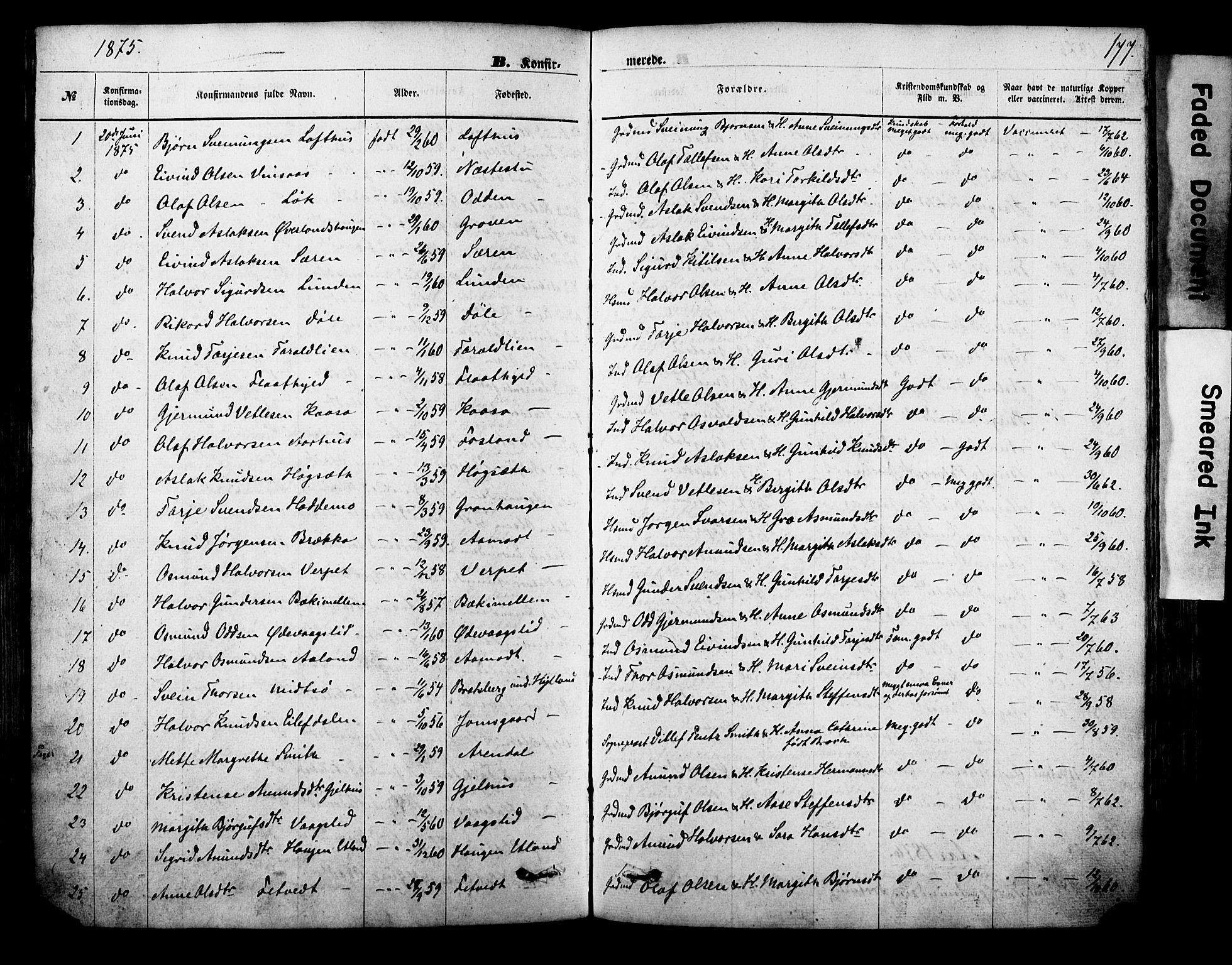 Vinje kirkebøker, AV/SAKO-A-312/F/Fa/L0005: Ministerialbok nr. I 5, 1870-1886, s. 177