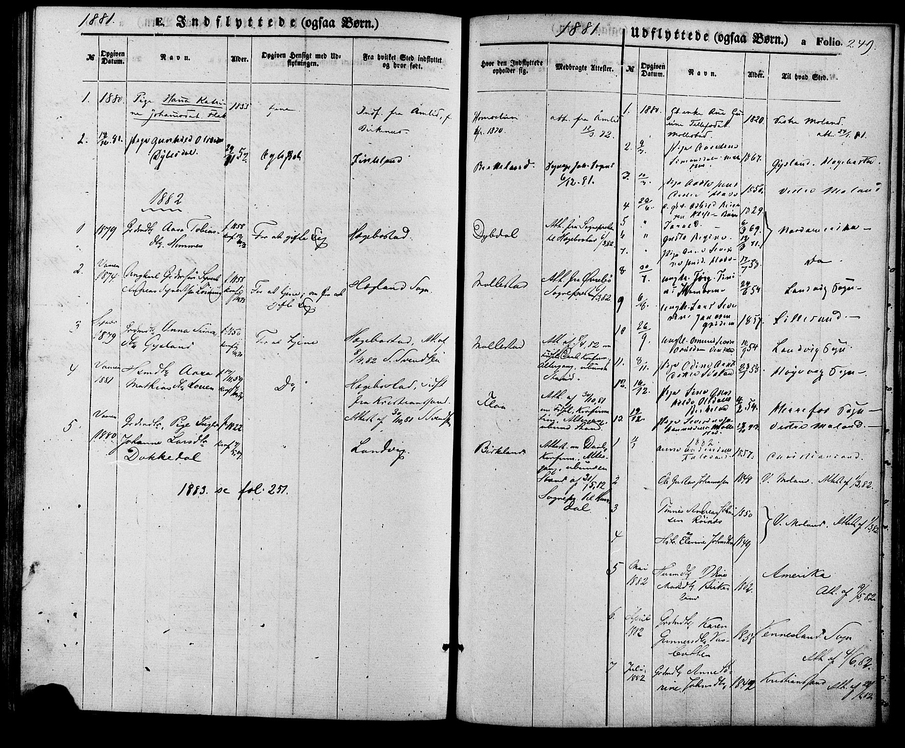 Birkenes sokneprestkontor, SAK/1111-0004/F/Fa/L0004: Ministerialbok nr. A 4, 1867-1886, s. 249