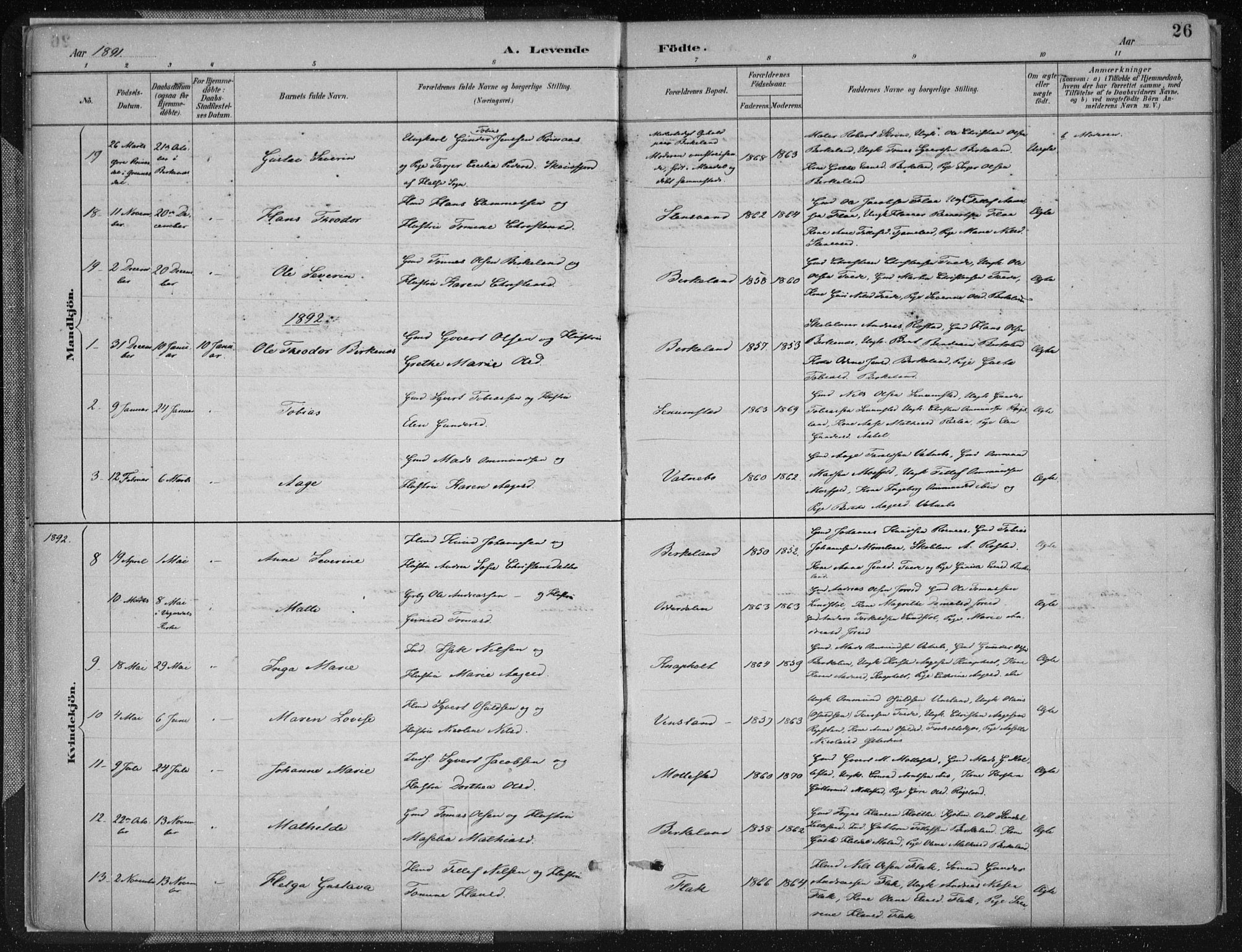 Birkenes sokneprestkontor, SAK/1111-0004/F/Fa/L0005: Ministerialbok nr. A 5, 1887-1907, s. 26