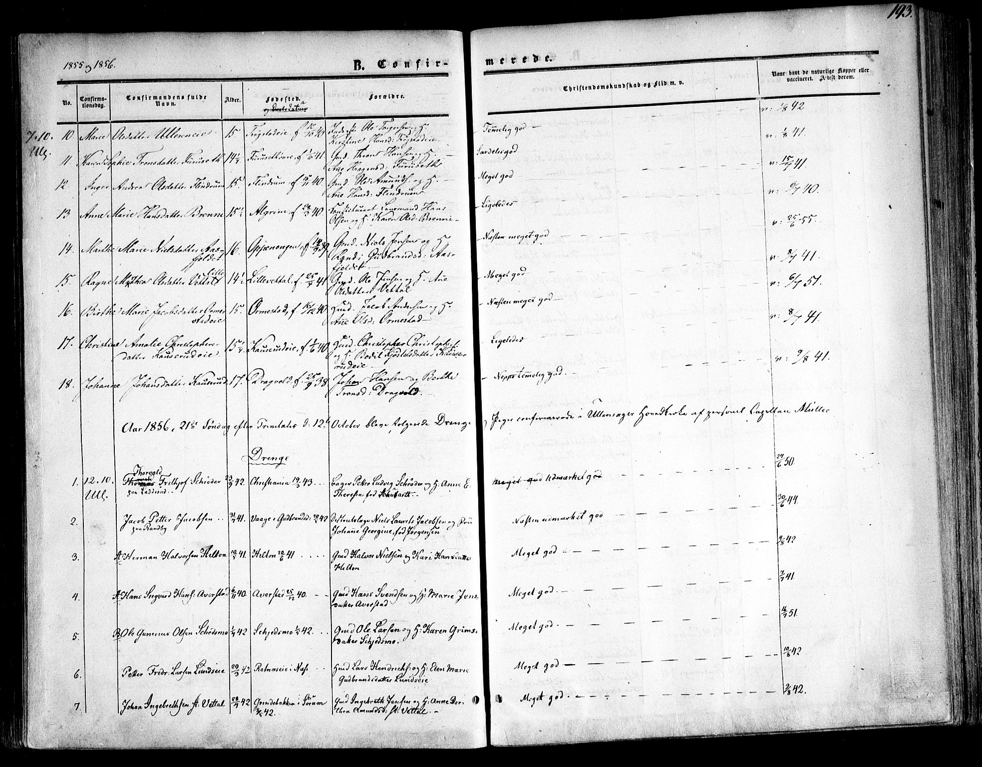 Ullensaker prestekontor Kirkebøker, AV/SAO-A-10236a/F/Fa/L0015.a: Ministerialbok nr. I 15A, 1851-1862, s. 193