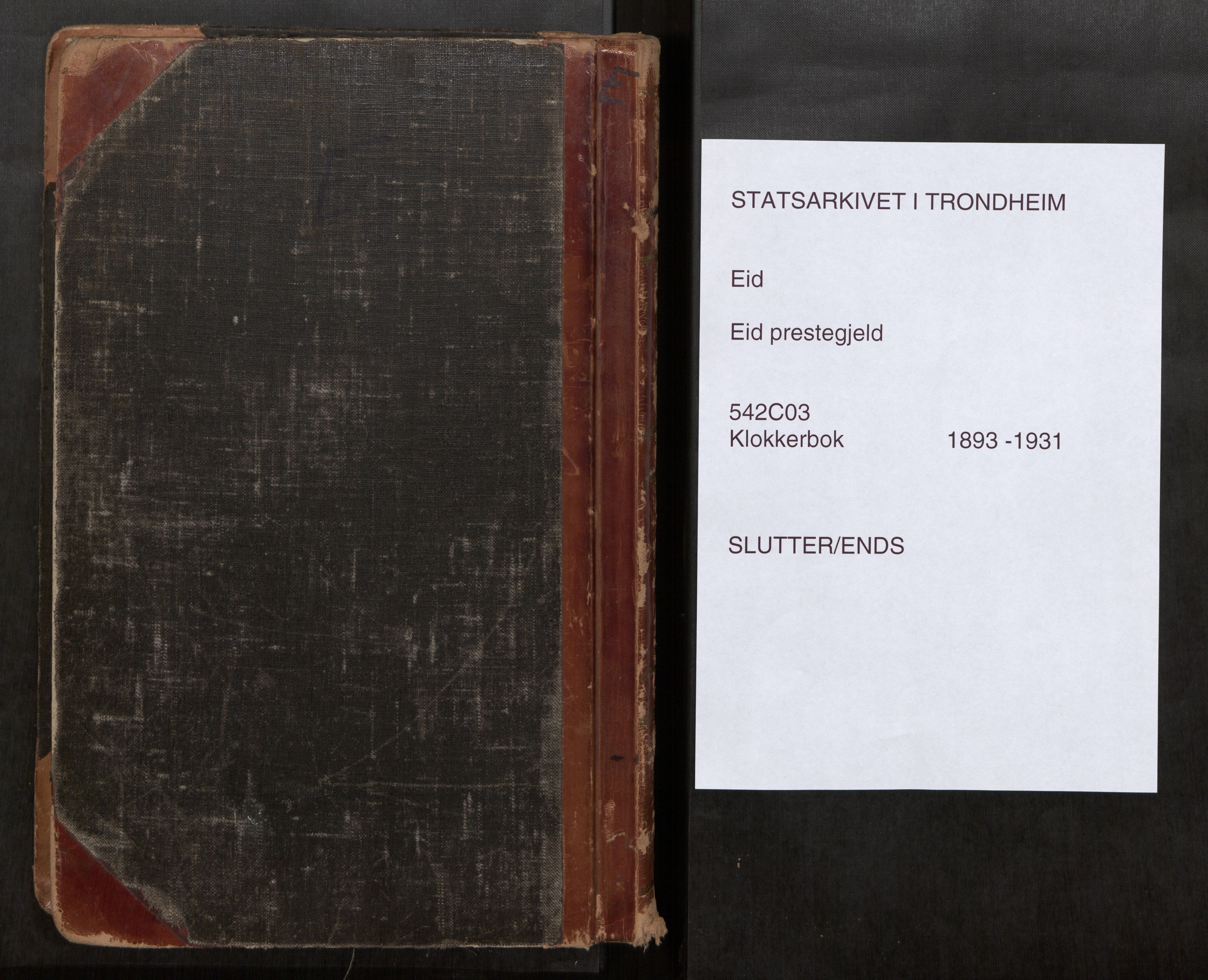 Ministerialprotokoller, klokkerbøker og fødselsregistre - Møre og Romsdal, AV/SAT-A-1454/542/L0561: Klokkerbok nr. 542C03, 1893-1931