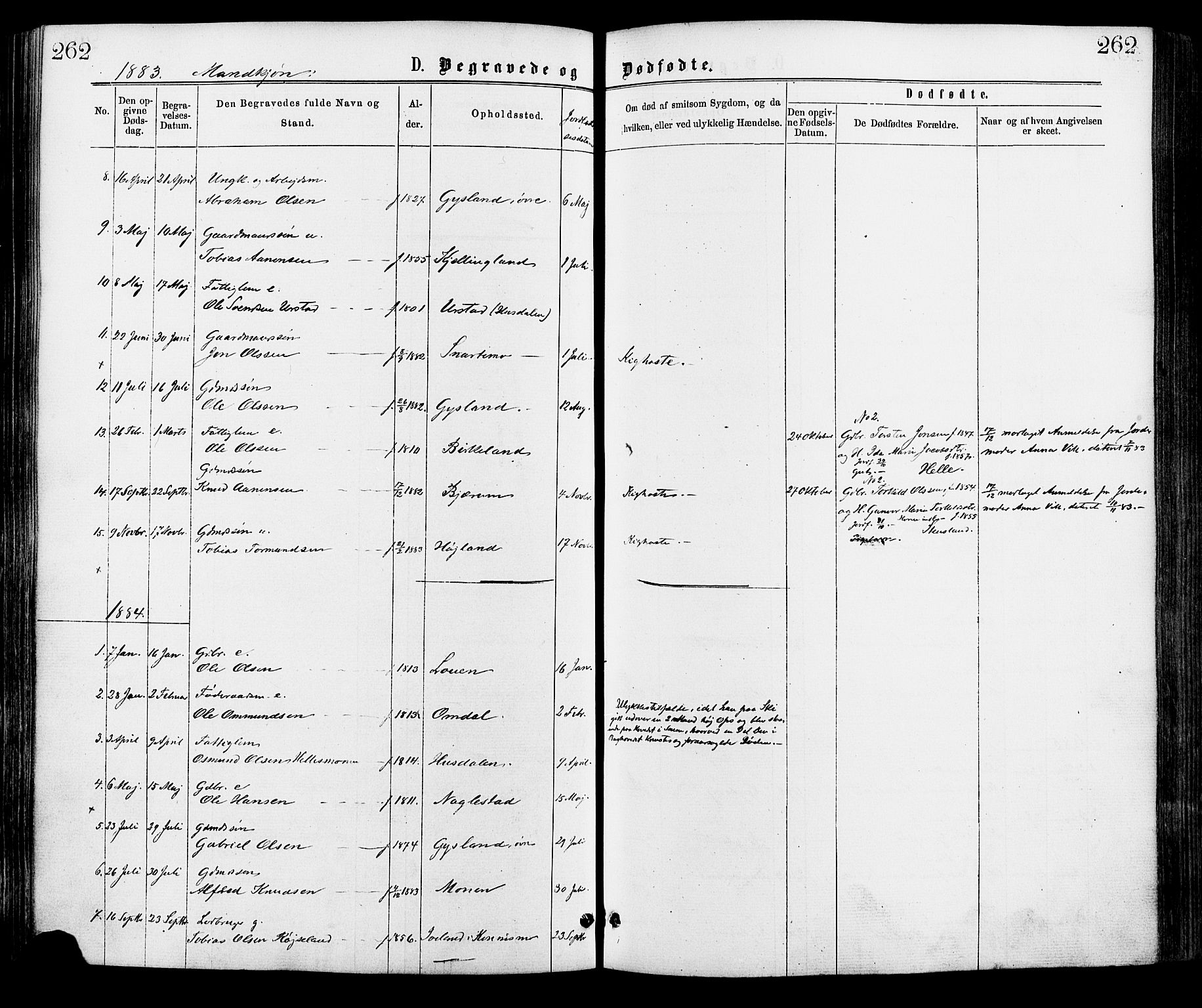Hægebostad sokneprestkontor, SAK/1111-0024/F/Fa/Faa/L0005: Ministerialbok nr. A 5, 1864-1886, s. 262