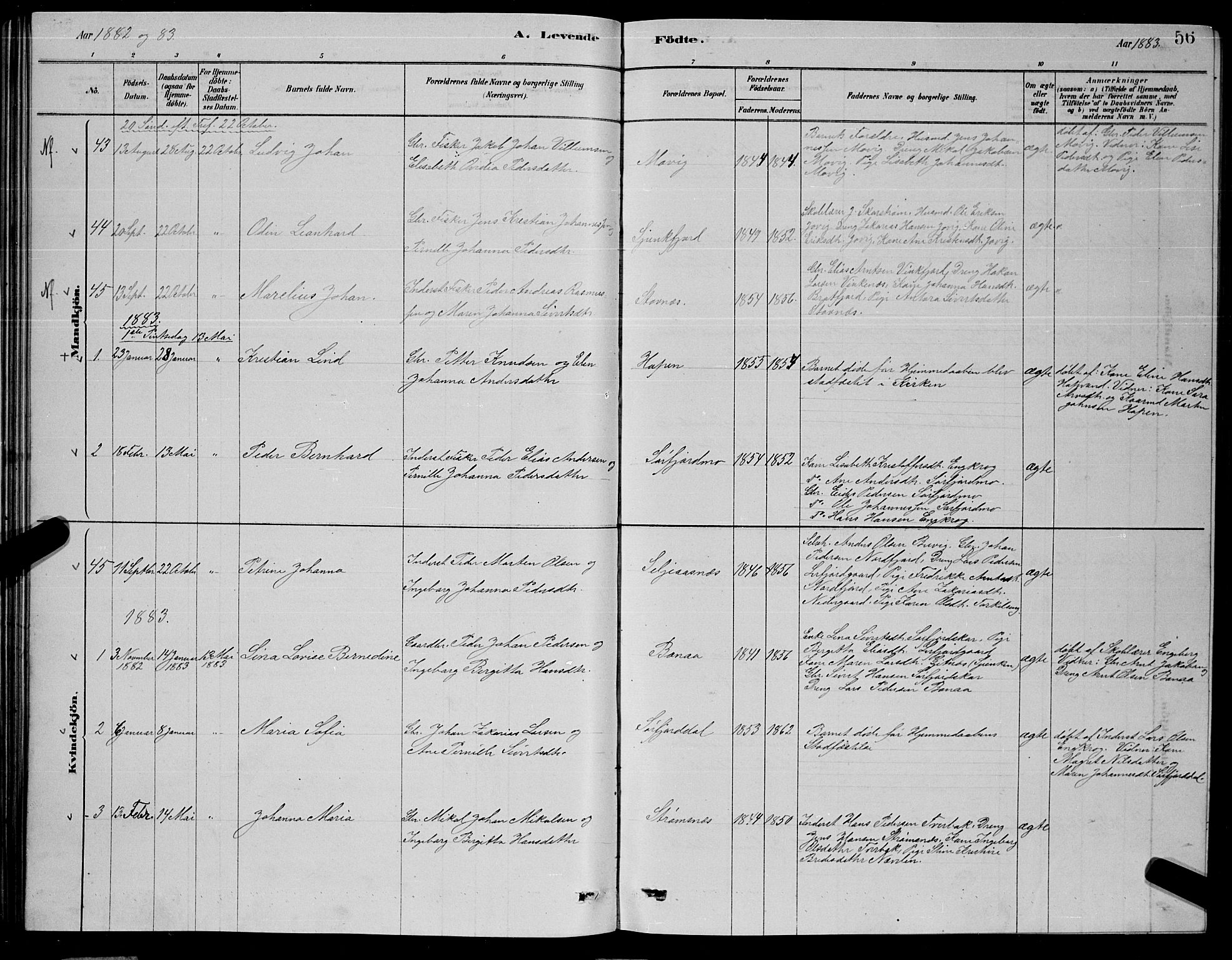 Ministerialprotokoller, klokkerbøker og fødselsregistre - Nordland, SAT/A-1459/853/L0776: Klokkerbok nr. 853C04, 1878-1889, s. 56