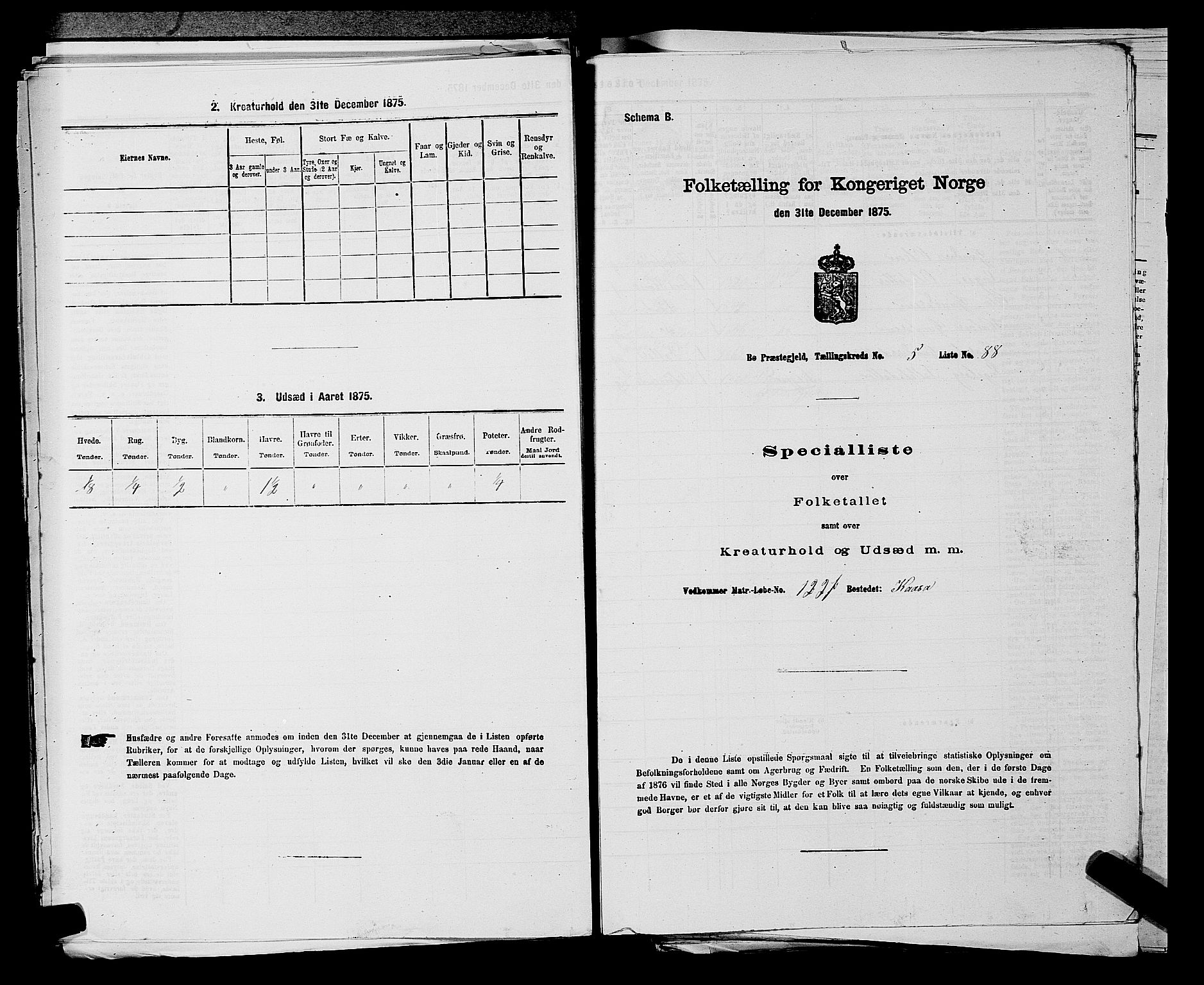 SAKO, Folketelling 1875 for 0821P Bø prestegjeld, 1875, s. 776