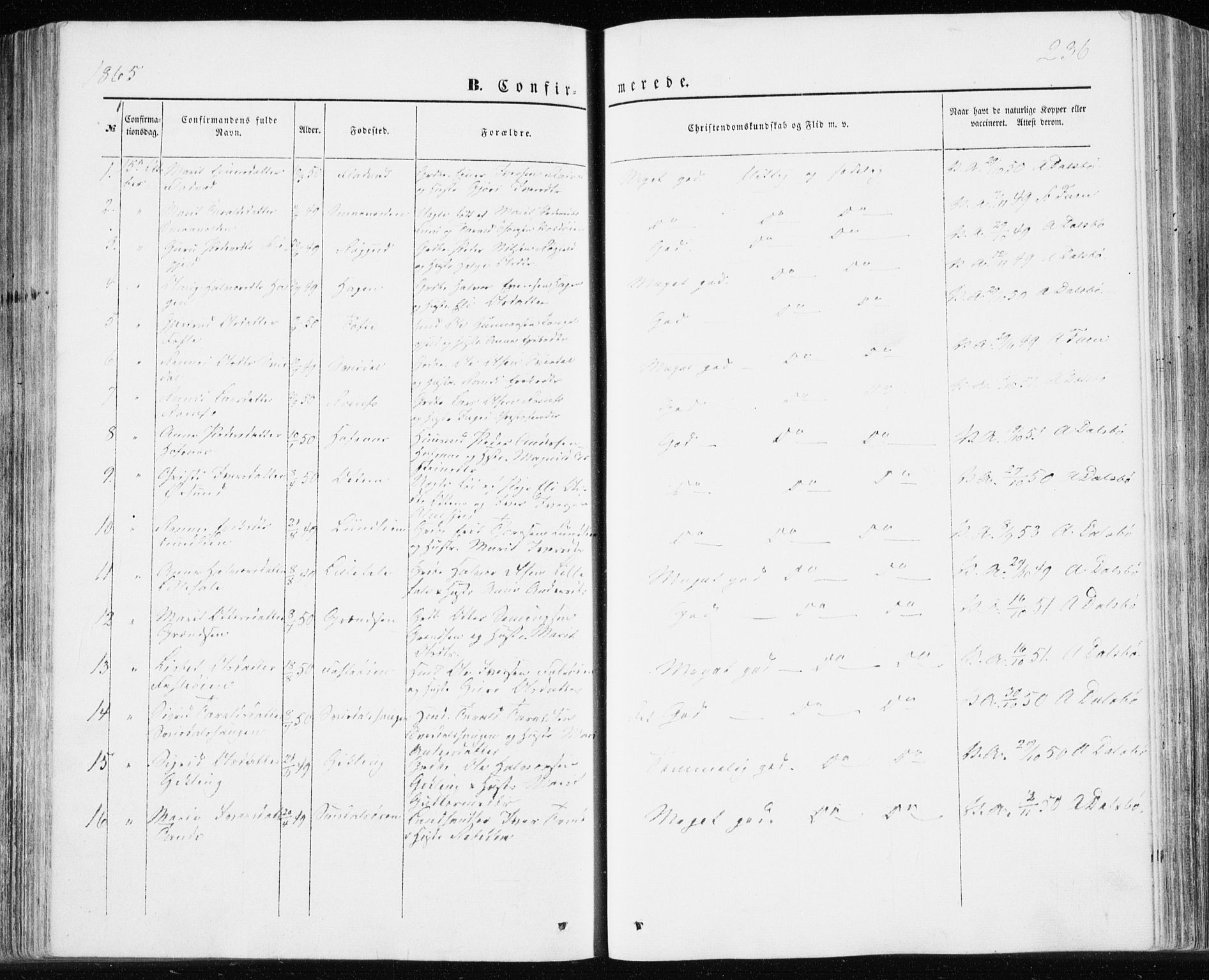 Ministerialprotokoller, klokkerbøker og fødselsregistre - Møre og Romsdal, AV/SAT-A-1454/590/L1013: Ministerialbok nr. 590A05, 1847-1877, s. 236