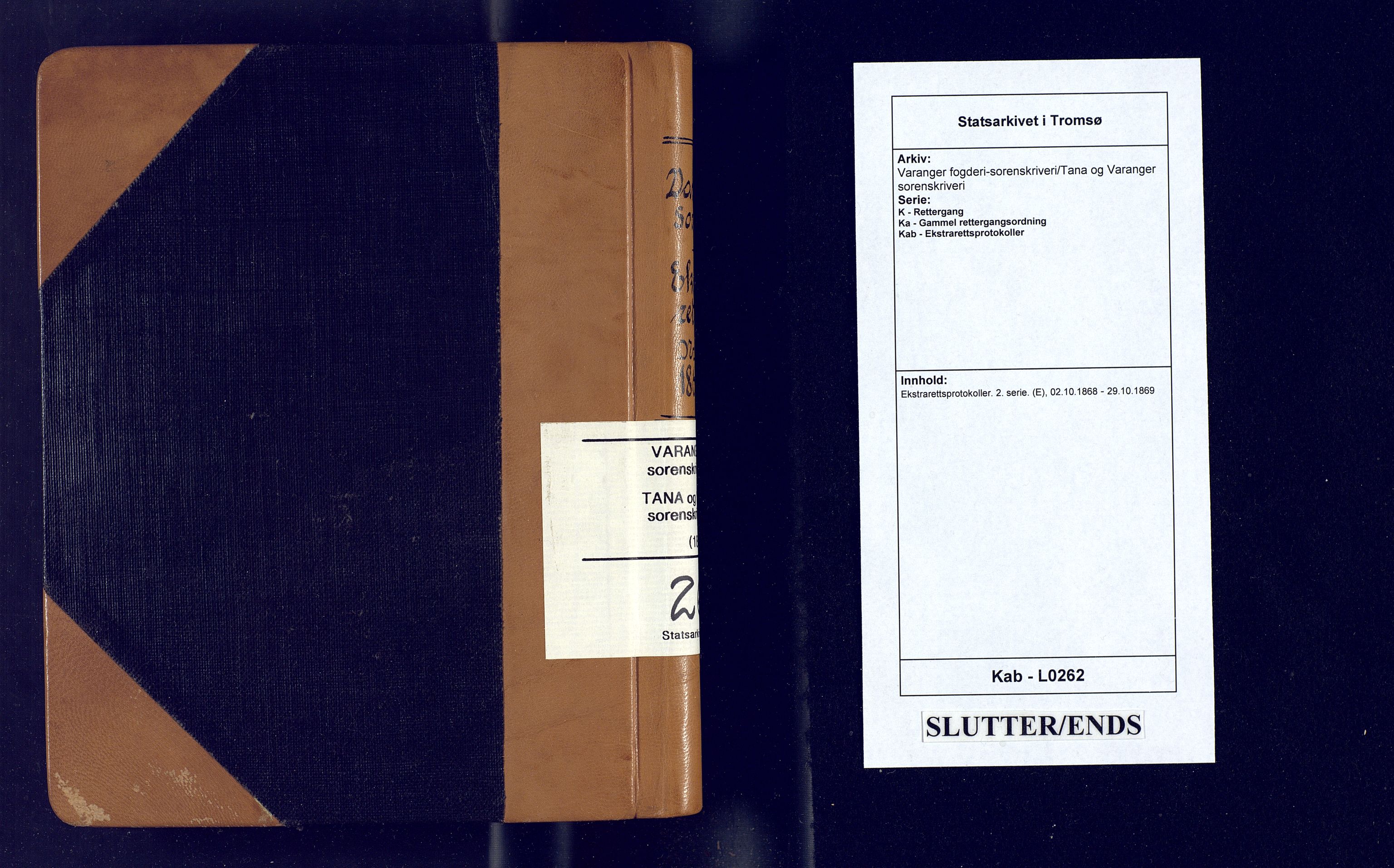 Varanger fogderi-sorenskriveri/Tana og Varanger sorenskriveri, AV/SATØ-S-0059/1/K/Ka/Kab/L0262: Ekstrarettsprotokoller. 2. serie. (E), 1868-1869