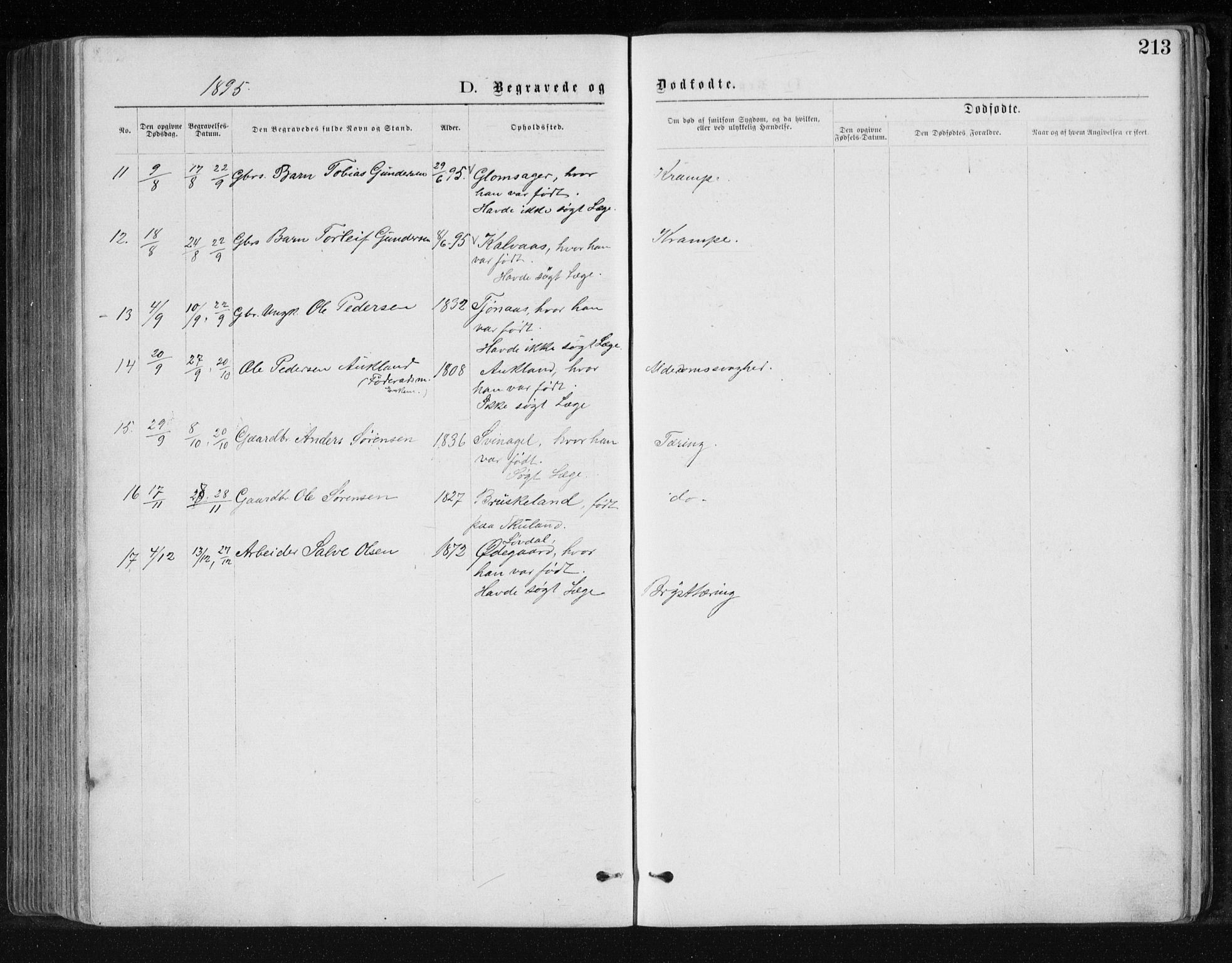 Holum sokneprestkontor, AV/SAK-1111-0022/F/Fb/Fbb/L0003: Klokkerbok nr. B 3, 1875-1898, s. 213