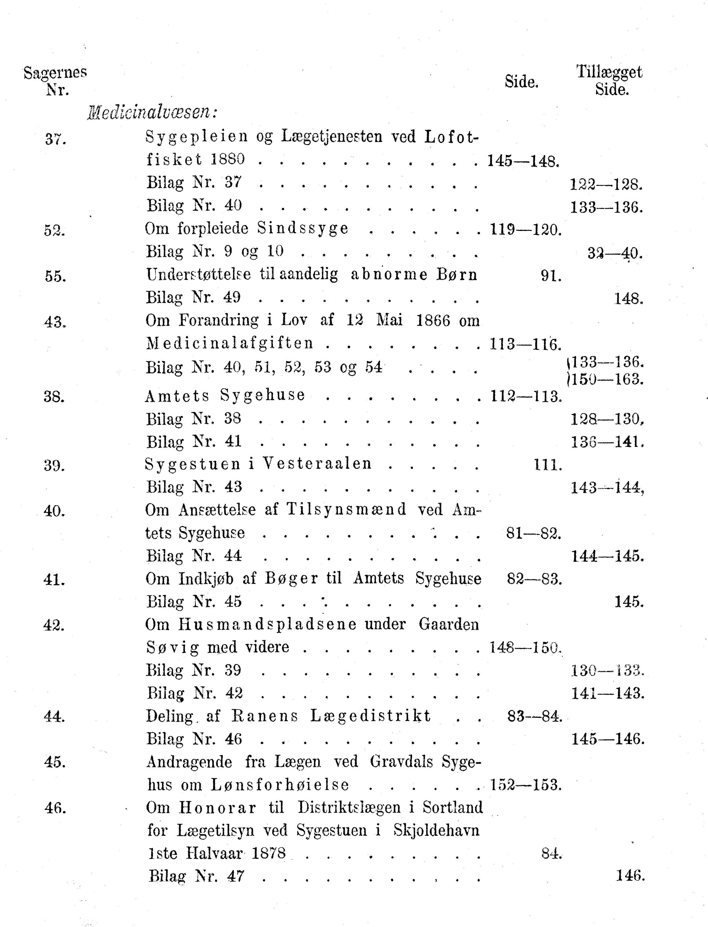 Nordland Fylkeskommune. Fylkestinget, AIN/NFK-17/176/A/Ac/L0010: Fylkestingsforhandlinger 1874-1880, 1874-1880