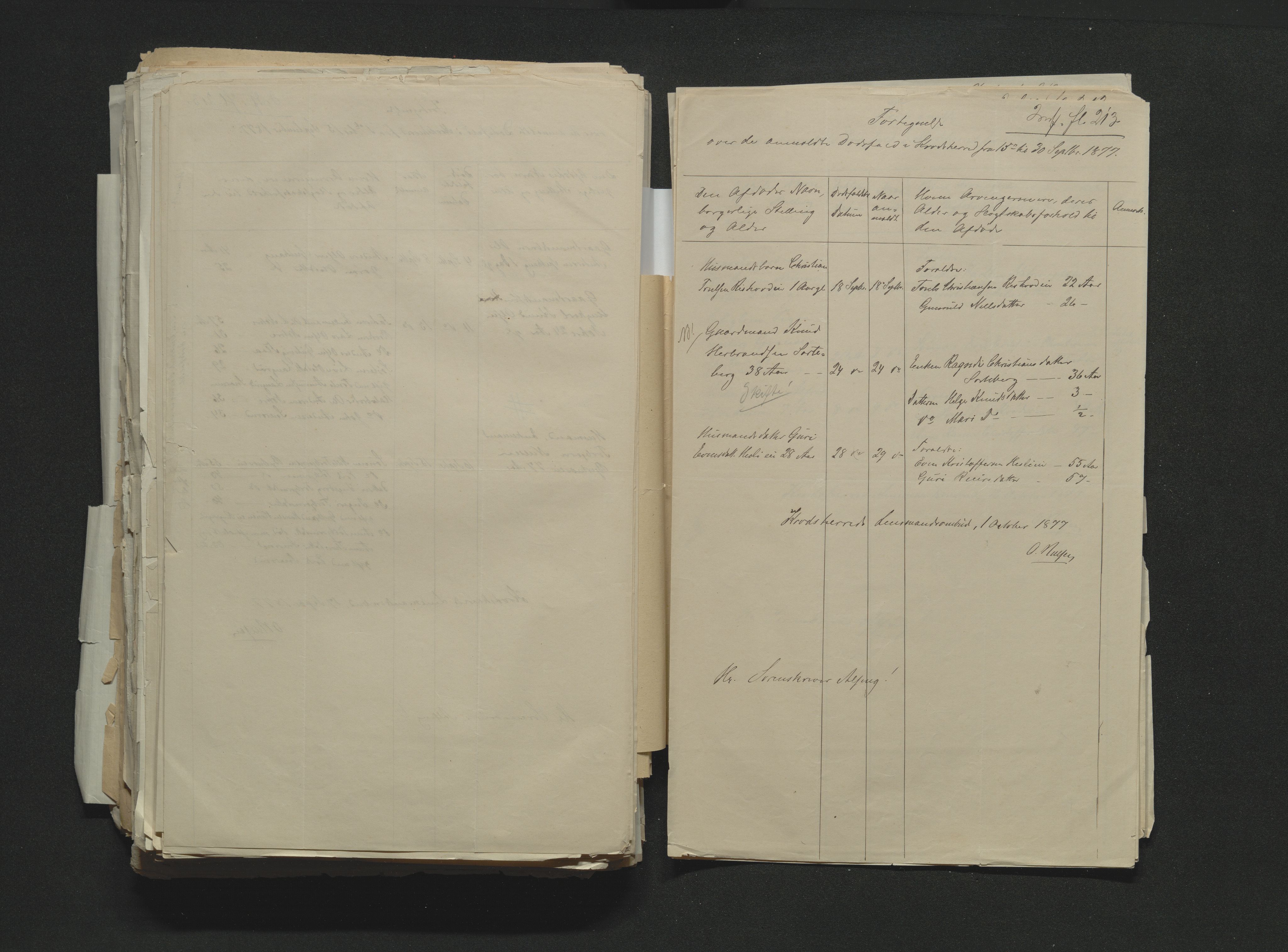 Eiker, Modum og Sigdal sorenskriveri, AV/SAKO-A-123/H/Ha/Hab/L0014: Dødsfallsmeldinger, 1874-1877, s. 746