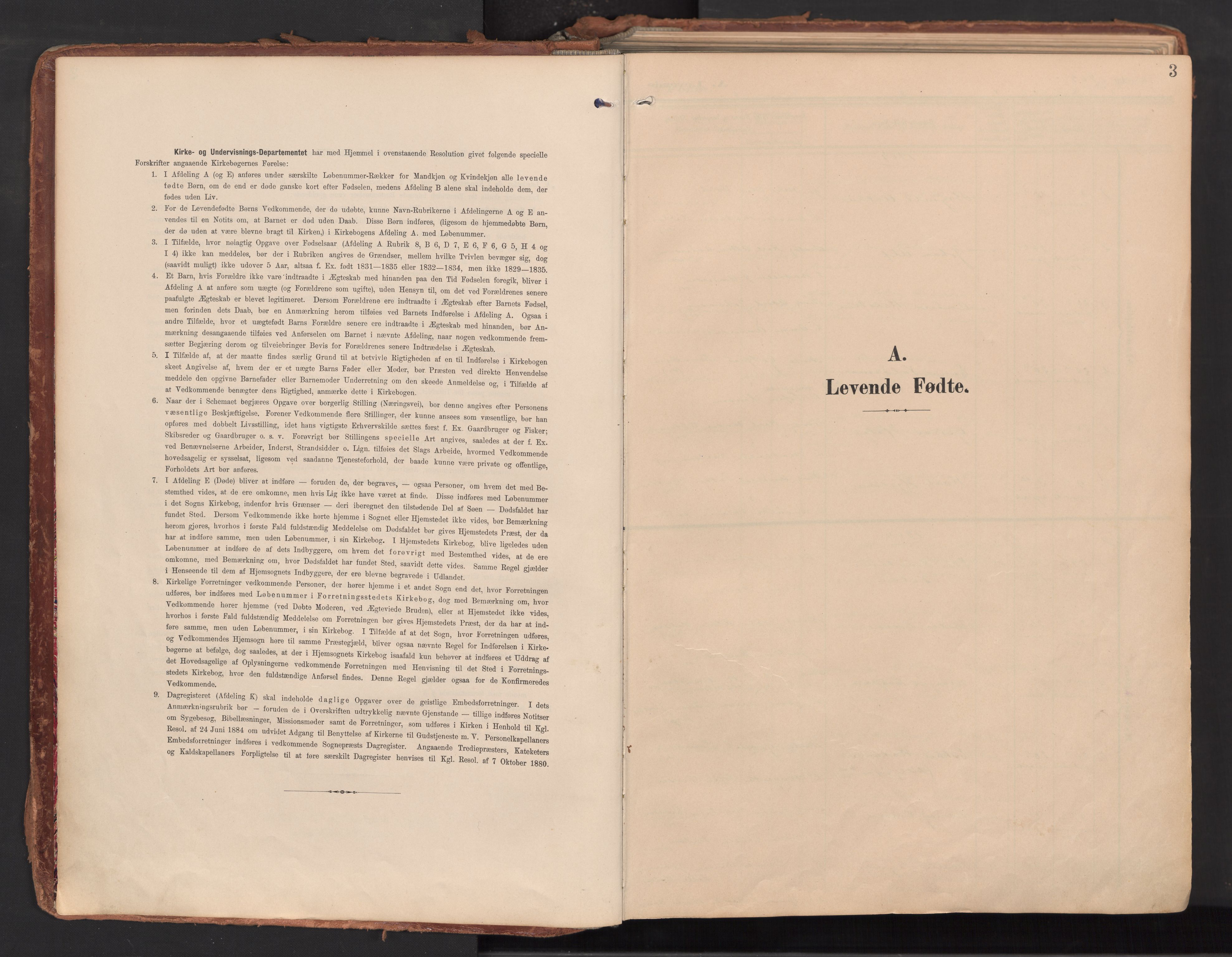 Idd prestekontor Kirkebøker, SAO/A-10911/F/Fc/L0007: Ministerialbok nr. III 7, 1904-1925, s. 3