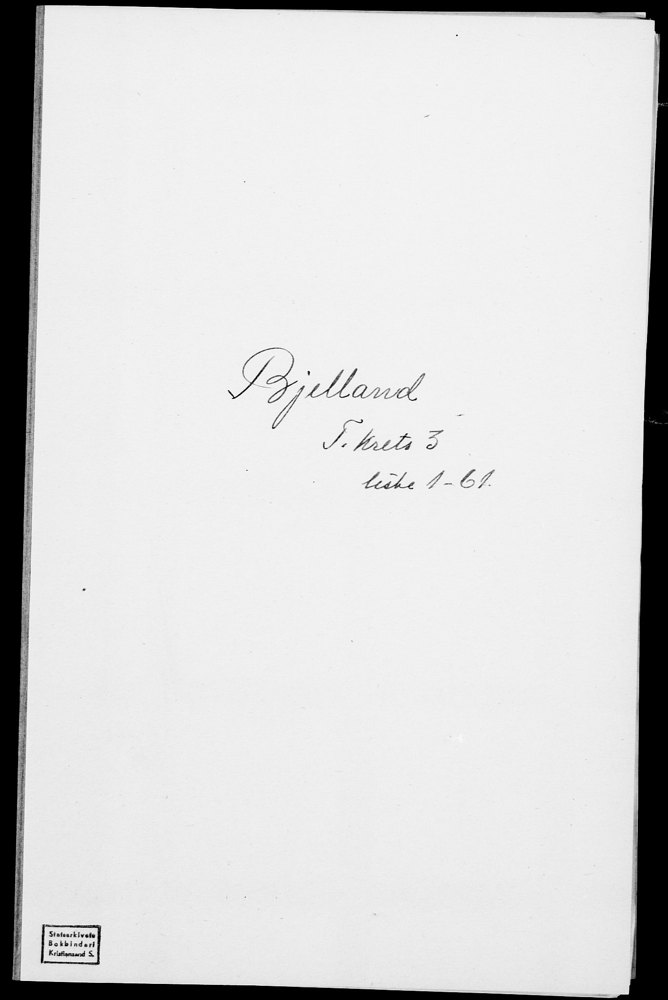 SAK, Folketelling 1875 for 1024P Bjelland prestegjeld, 1875, s. 265