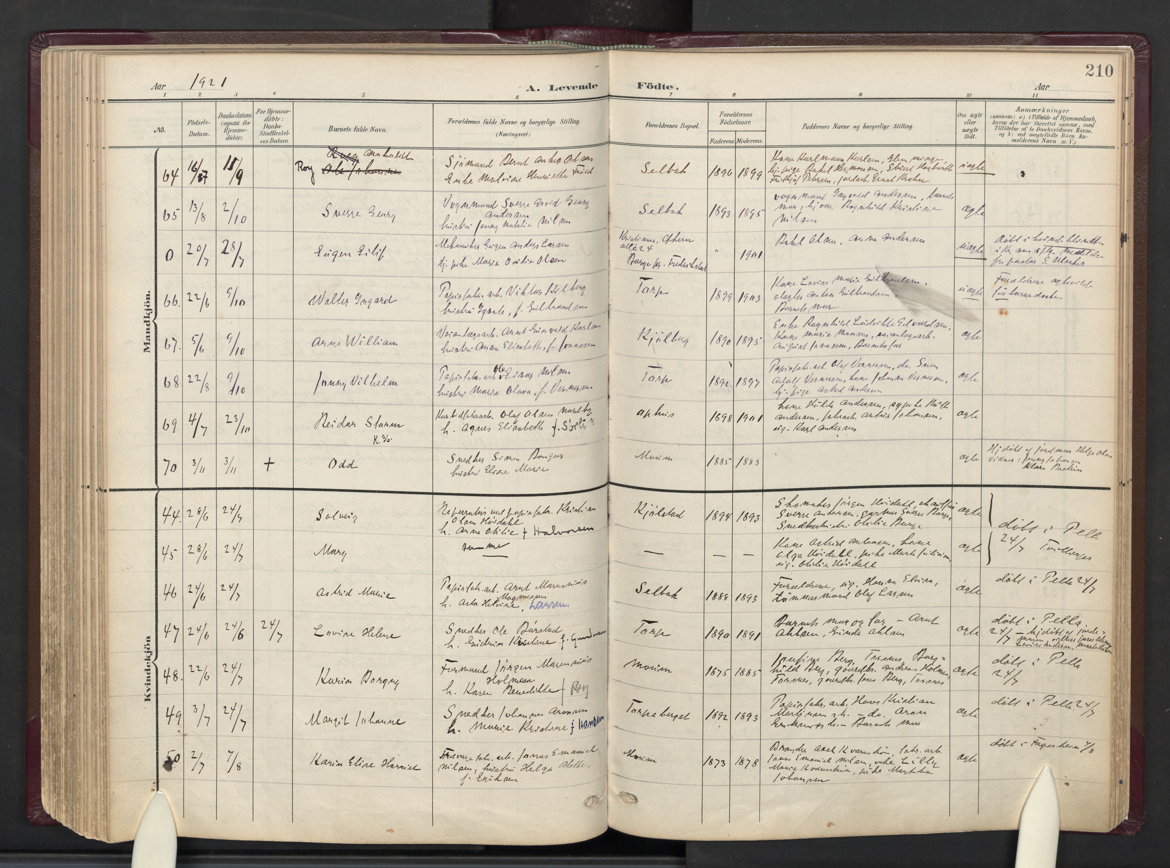 Borge prestekontor Kirkebøker, AV/SAO-A-10903/F/Fa/L0010: Ministerialbok nr. I 10, 1907-1925, s. 210