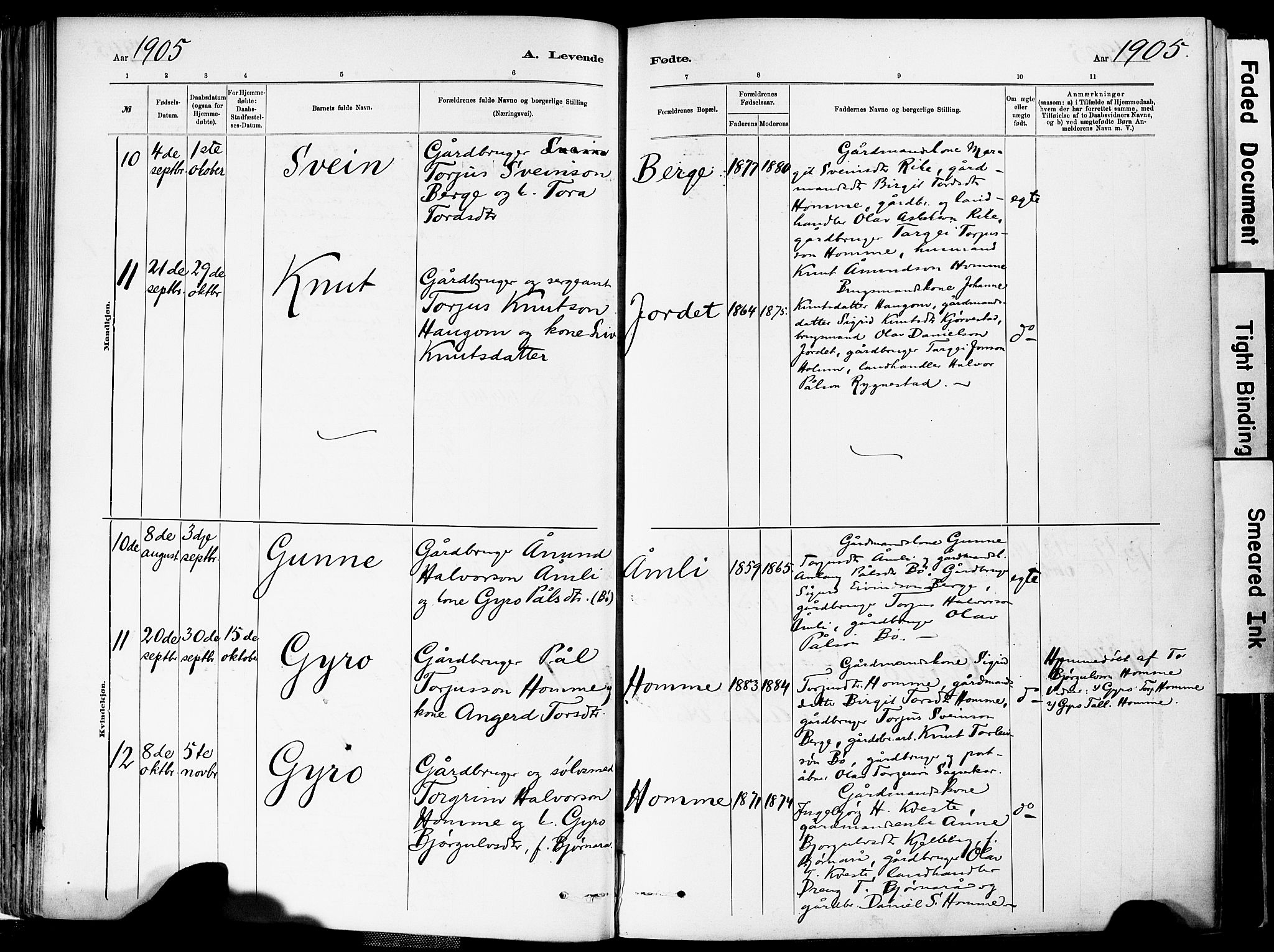 Valle sokneprestkontor, AV/SAK-1111-0044/F/Fa/Fac/L0009: Ministerialbok nr. A 9, 1882-1913, s. 61
