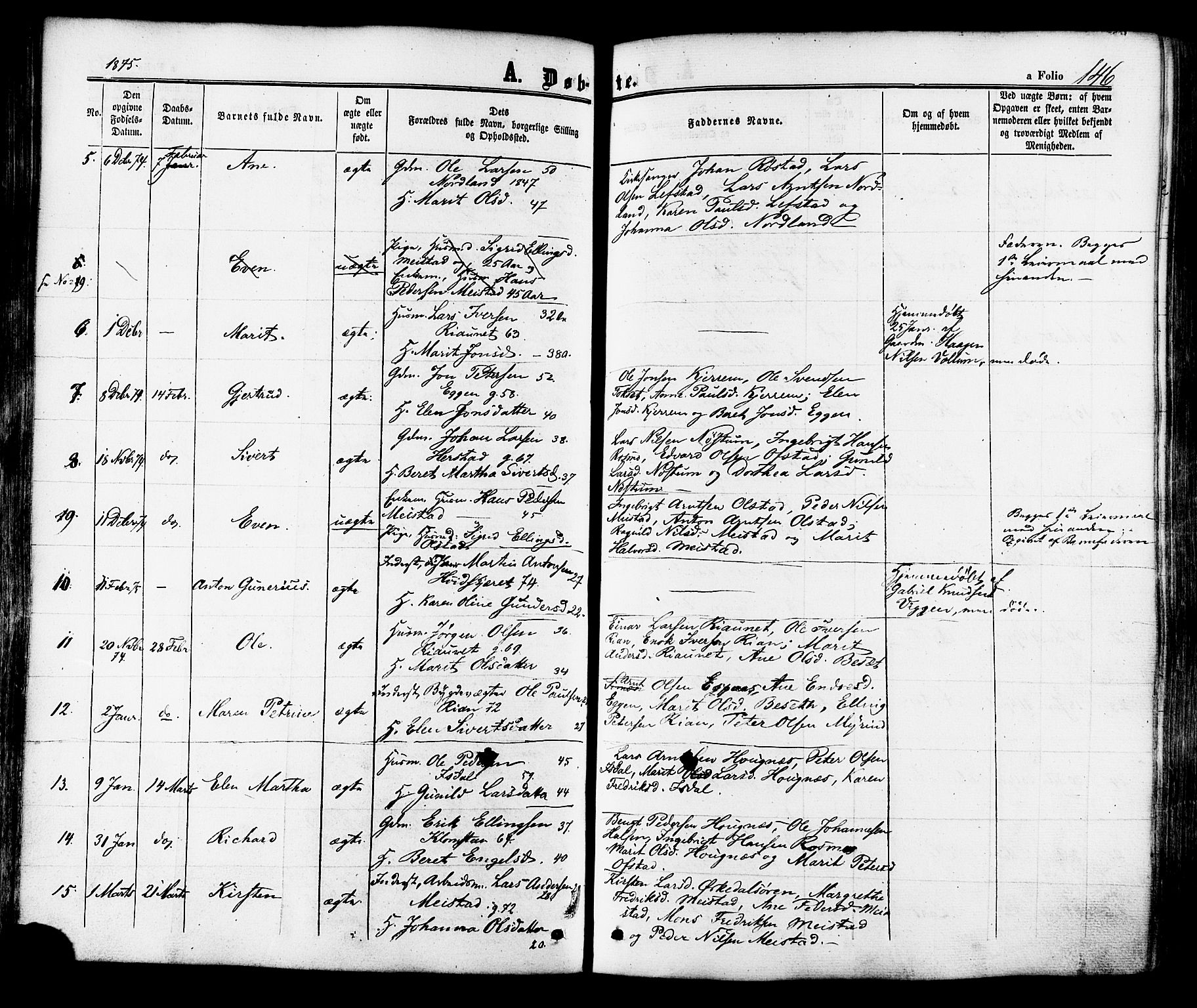 Ministerialprotokoller, klokkerbøker og fødselsregistre - Sør-Trøndelag, SAT/A-1456/665/L0772: Ministerialbok nr. 665A07, 1856-1878, s. 146