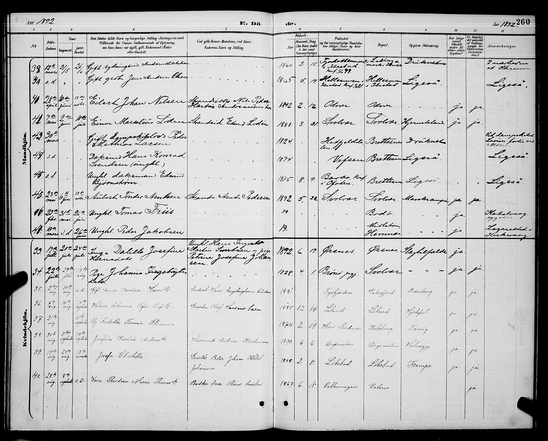 Ministerialprotokoller, klokkerbøker og fødselsregistre - Nordland, AV/SAT-A-1459/874/L1077: Klokkerbok nr. 874C06, 1891-1900, s. 260